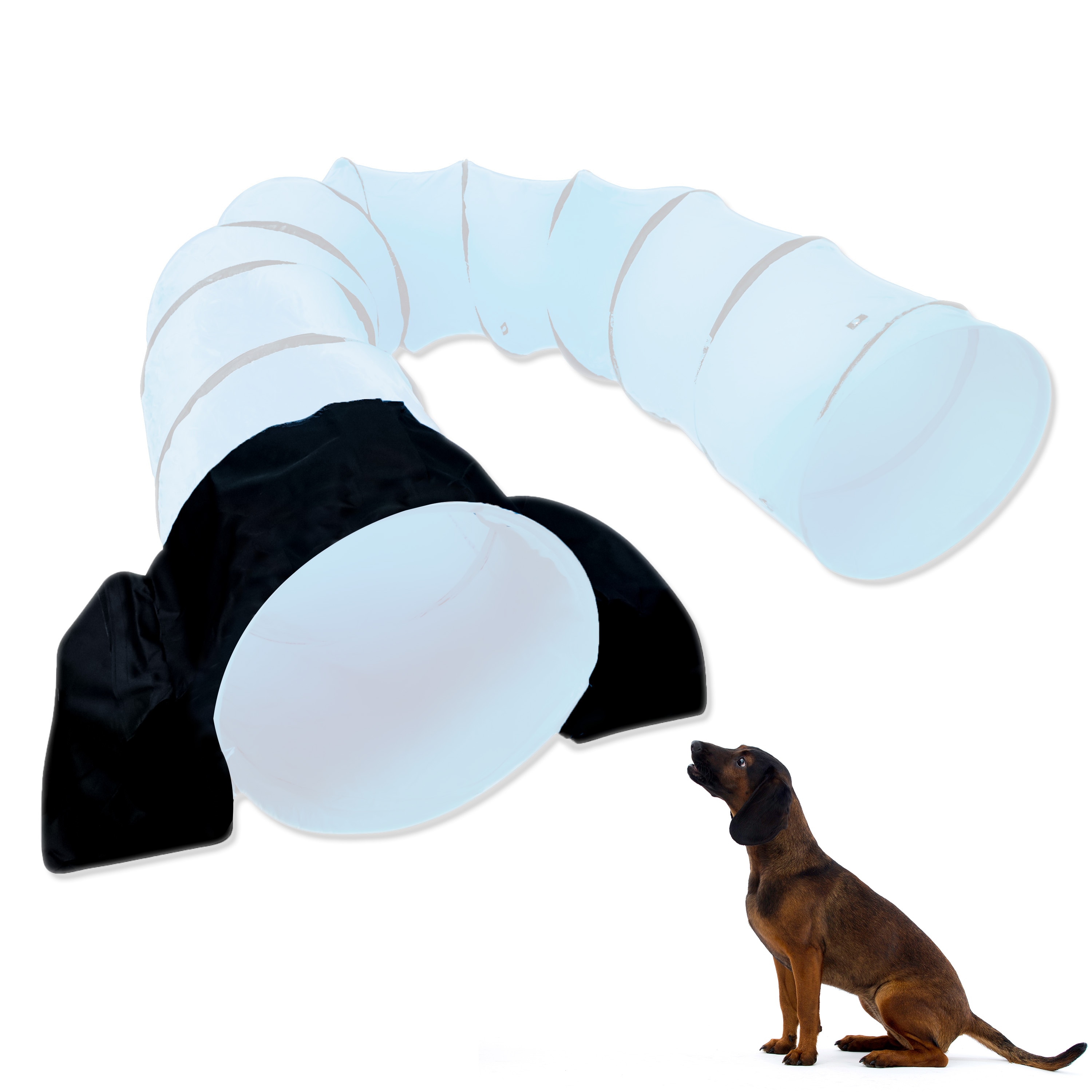 Dog Park Agility Course Components