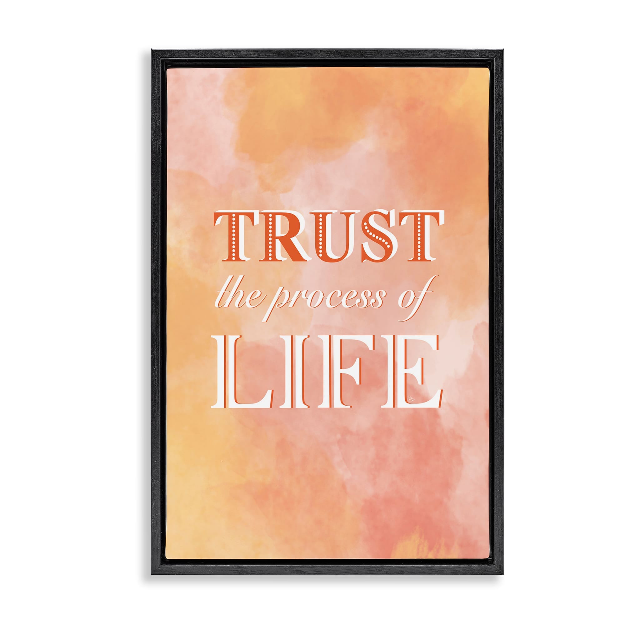 Stupell Industries BS-641-FFB-16X24 Trust The Process Of Life Floating Frame design by Martina Pavlova
