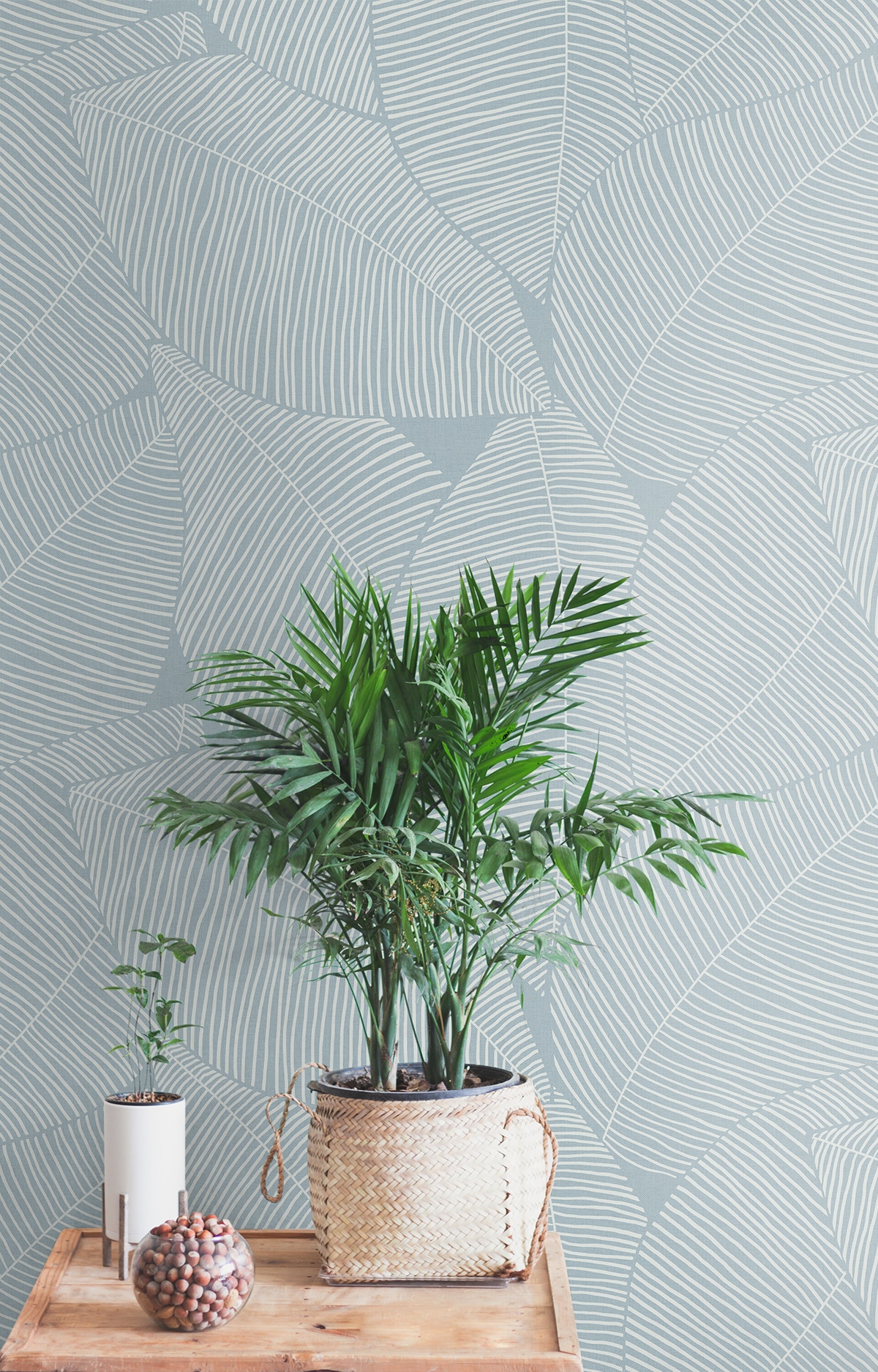 NextWall NW47502 wallpaper - View #6