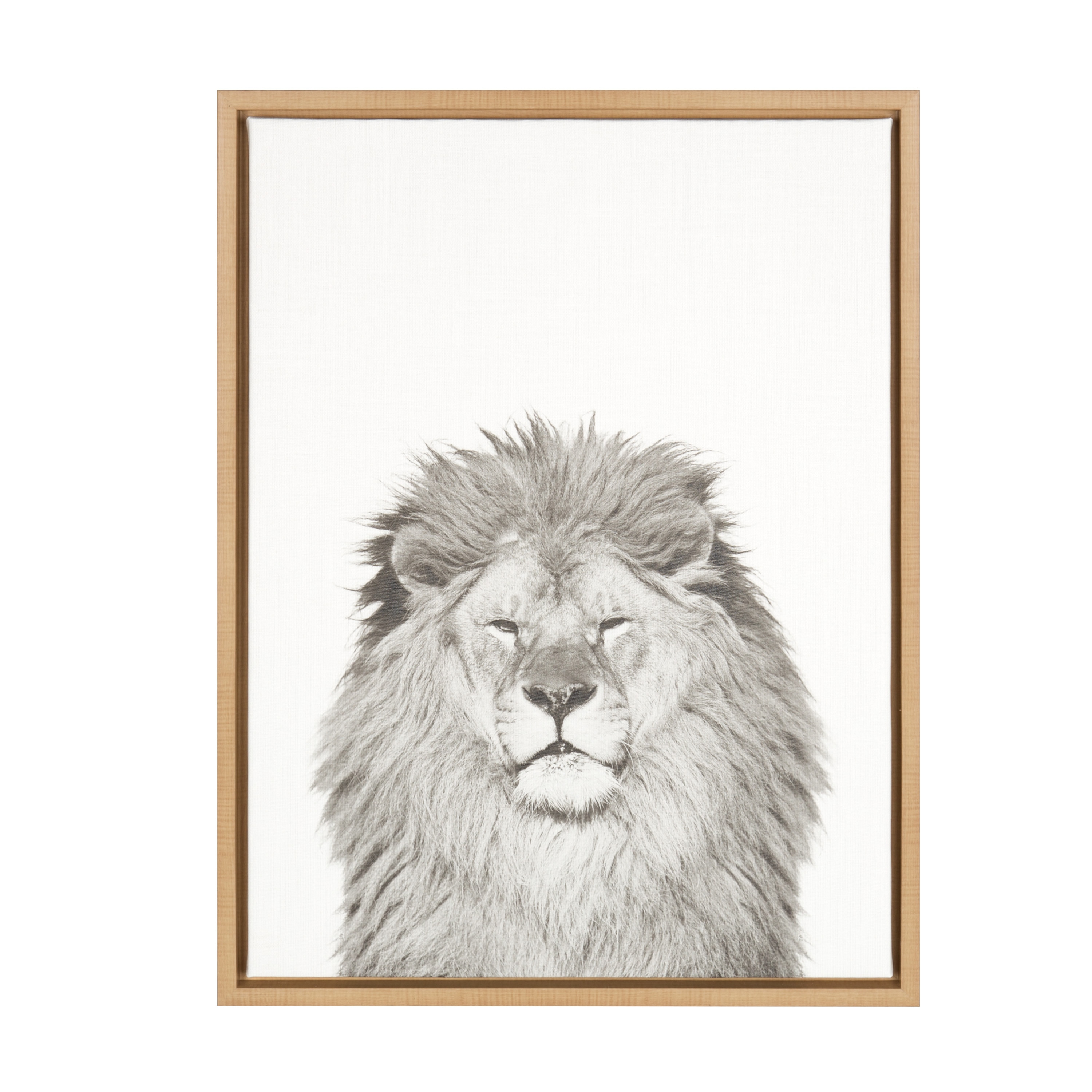 Kate and Laurel Lion Tai Prints Light Brown Framed 24-in H x 18-in W Animals  Print on Canvas in the Wall Art department at