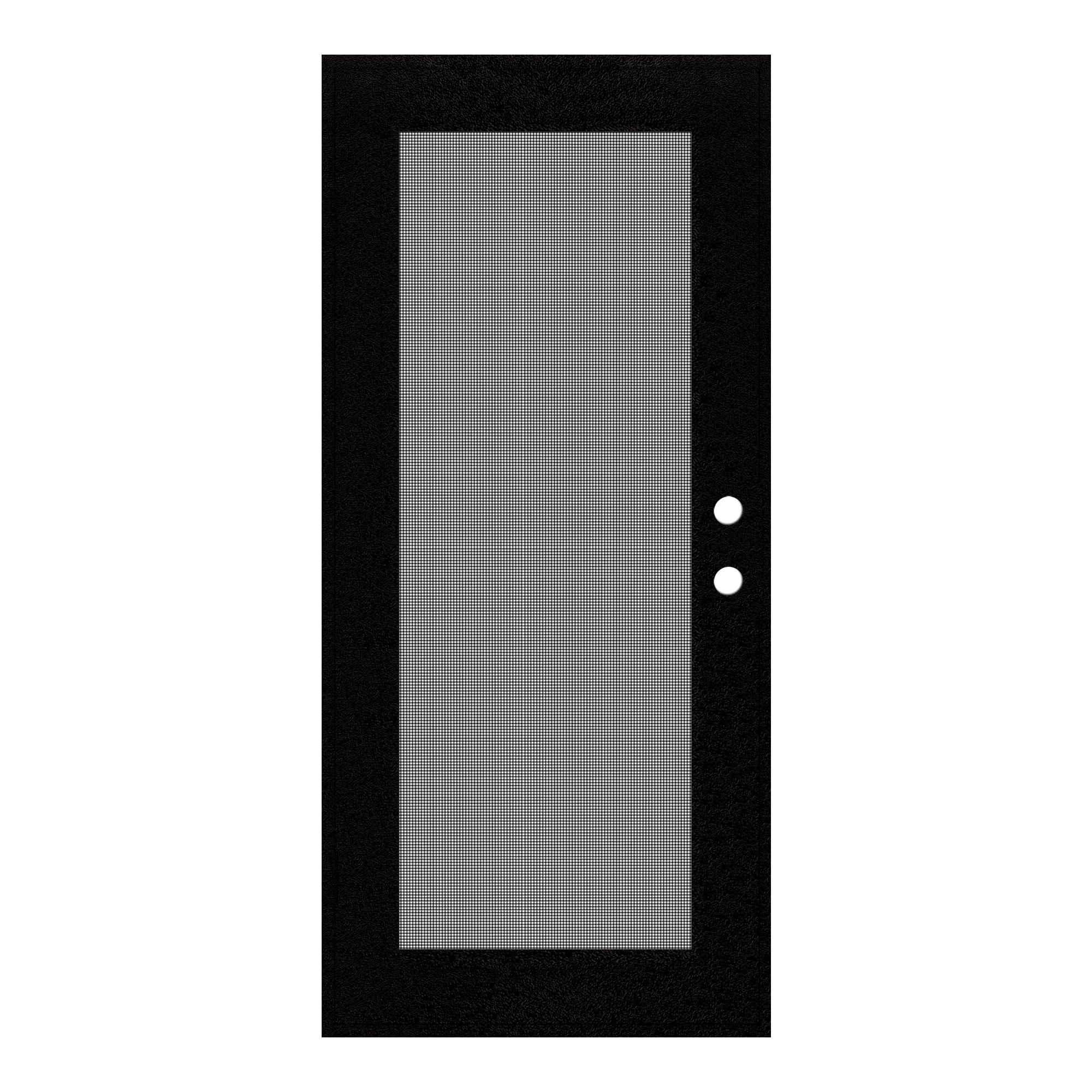 TITAN 3S0000CL2BC00A Full View Premium Aluminum Security Door 30-in x 80-in Black Aluminum Surface mount Right-hand outswing Security Door with Black Screen and Double bore