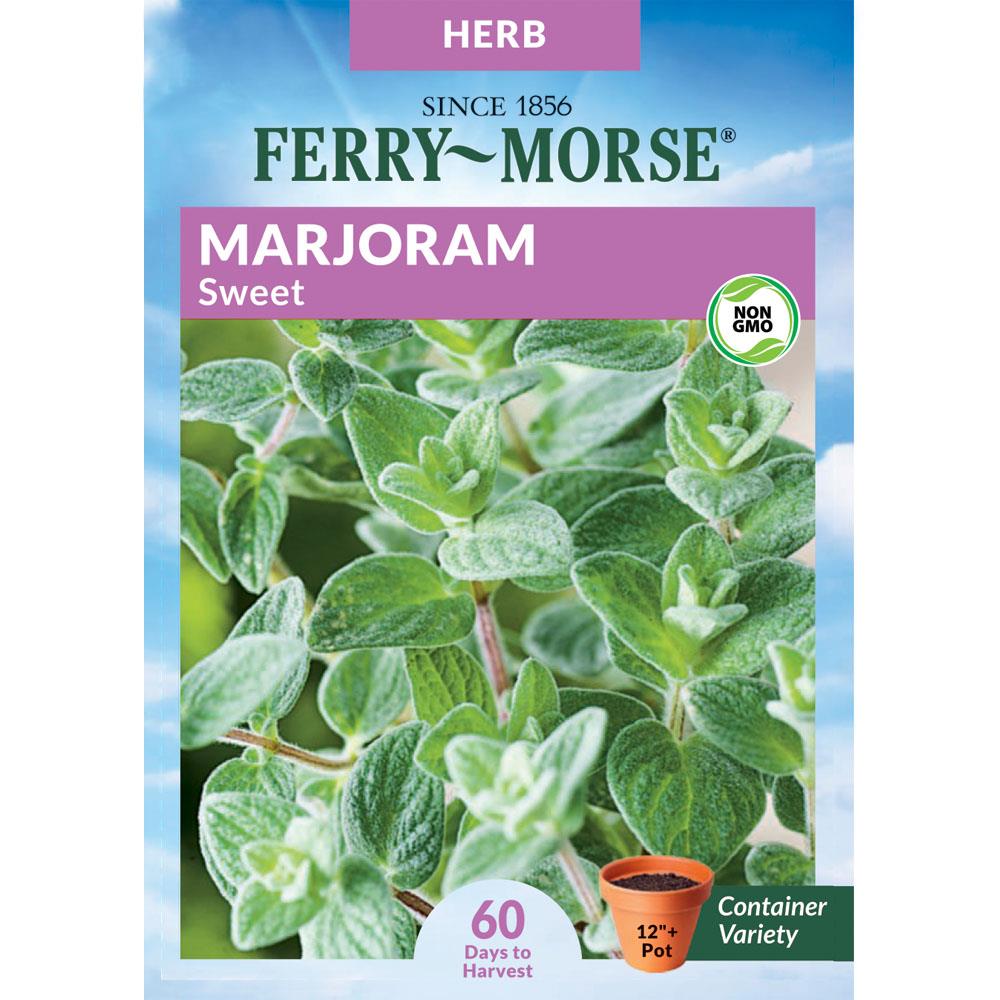 Ferry-Morse Marjoram Sweet Herb Seeds 300-mg at Lowes.com