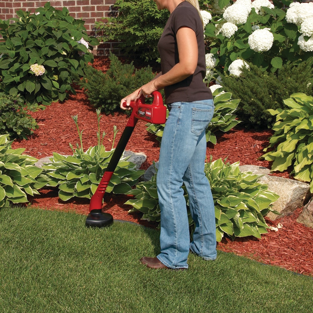 Toro 25cc deals weed eater