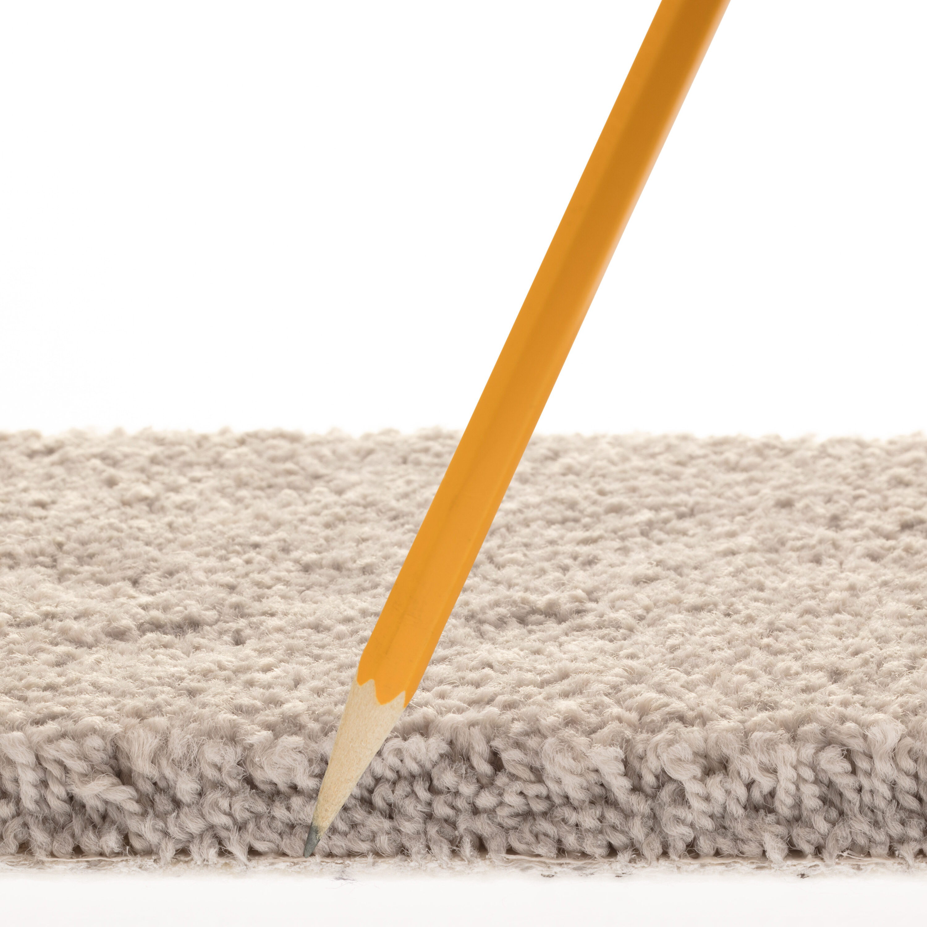 STAINMASTER PetProtect 7L89300551 Carpet-Panel - View #7