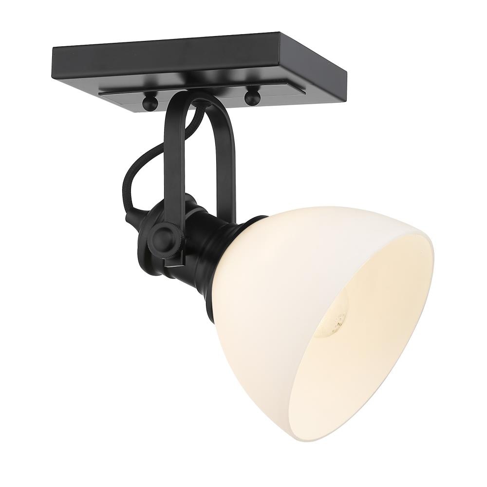 Matte Black Glass Transitional Indoor/Outdoor Light Fixture