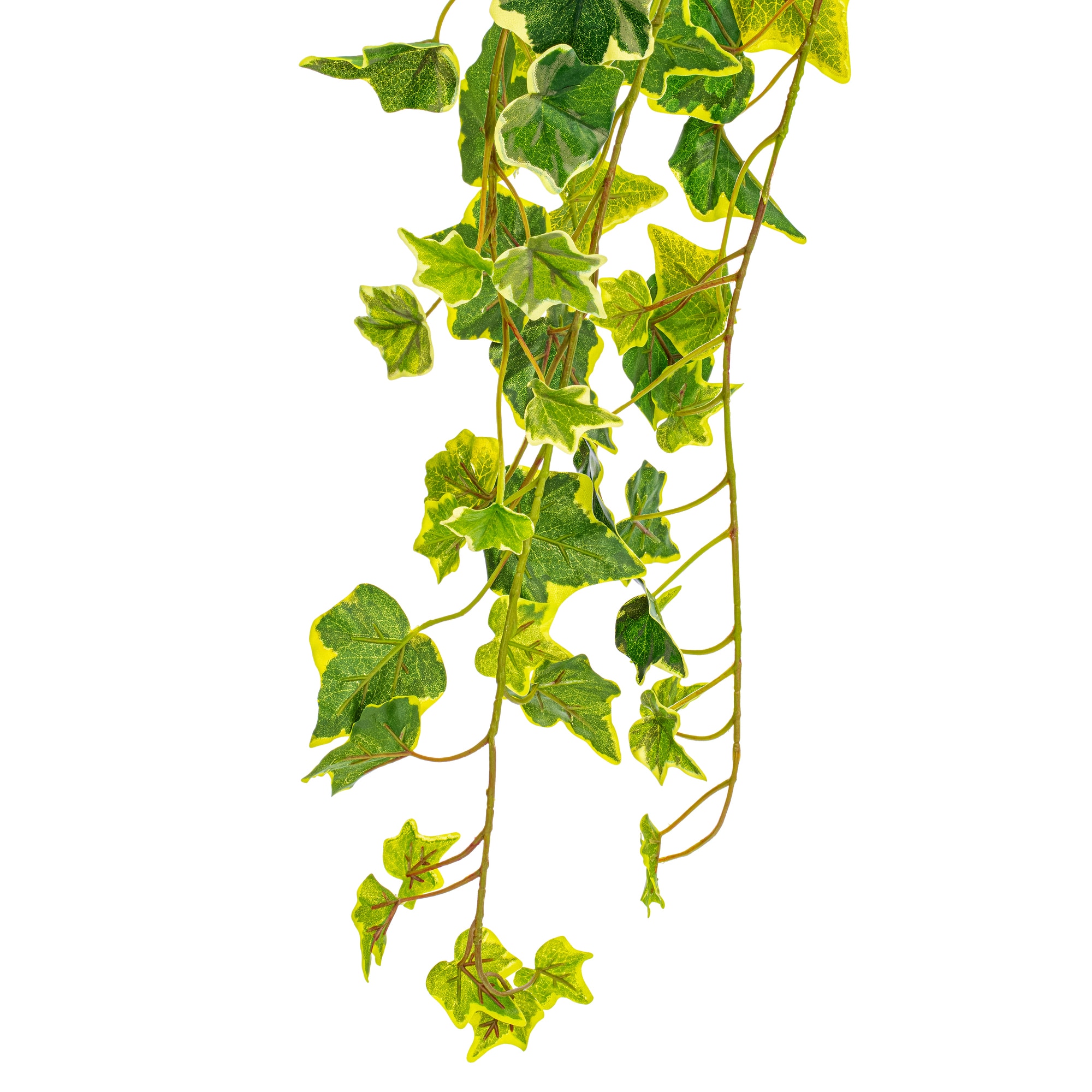 Vickerman FZ190234 Artificial-Plants-Trees - View #2