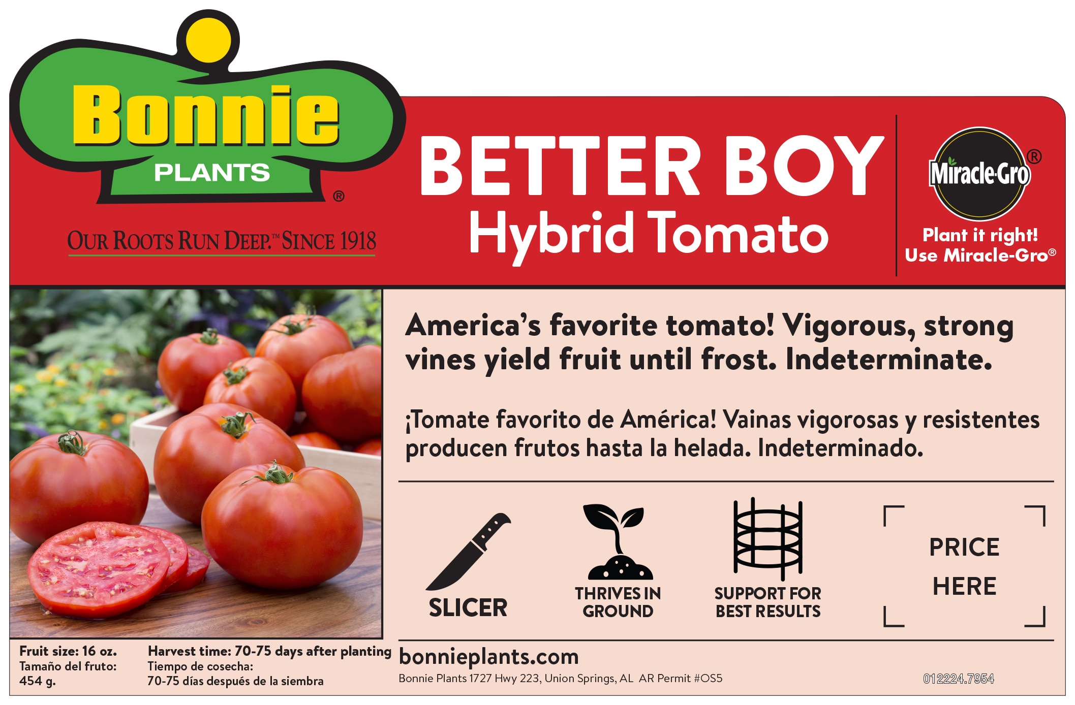 Bonnie Plants 16-331069 Vegetable-Plants - View #2