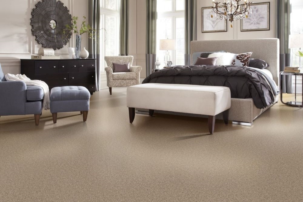 STAINMASTER PetProtect S9055-922-1200-MO Carpet-Panel - View #5