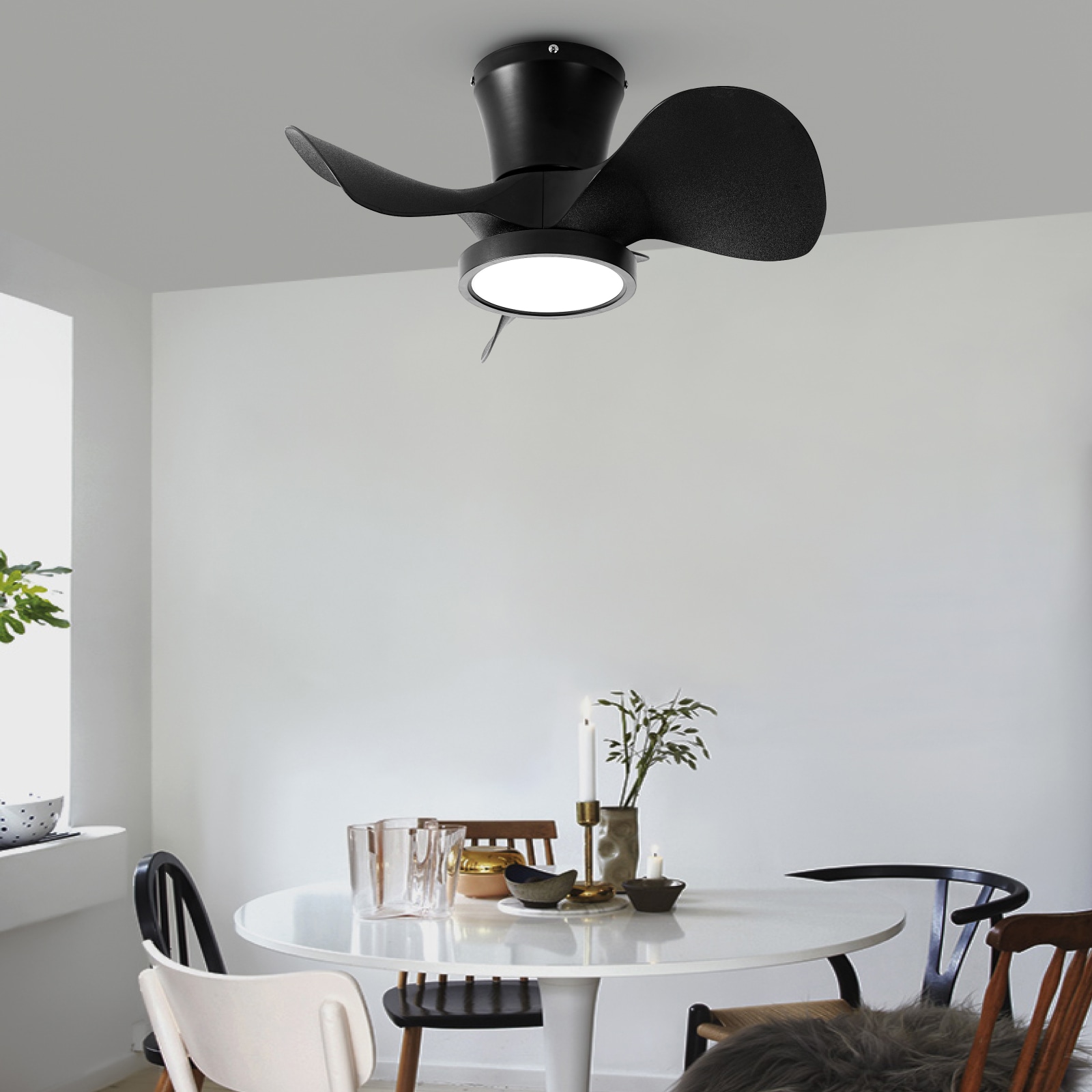 TALOYA TLY-F0-BK-X22 Ceiling-Fans - View #10