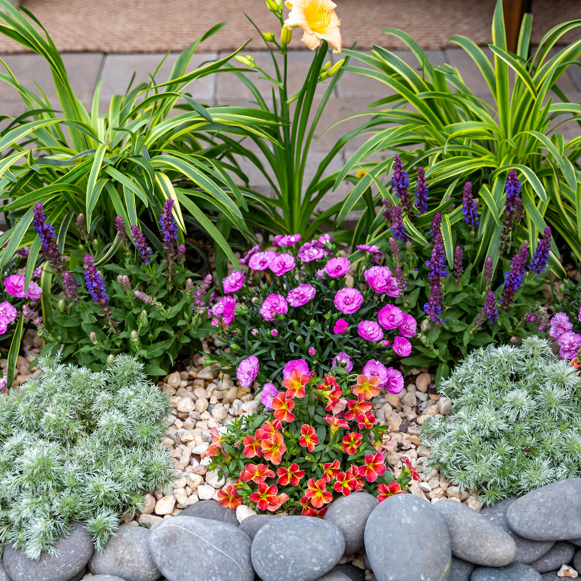Ready Refill 4948 annuals - View #5