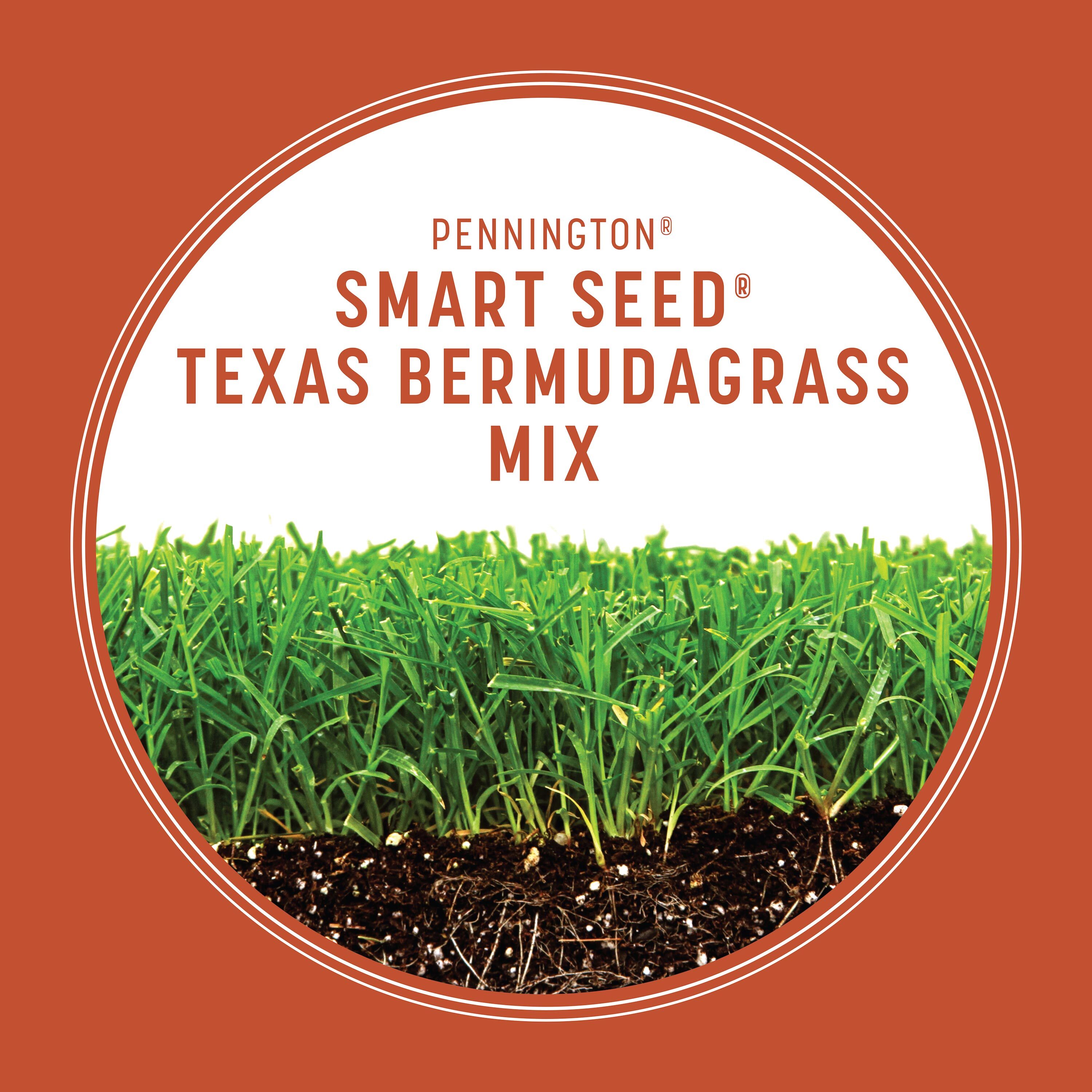 Pennington 100543736 Grass-Seed - View #4