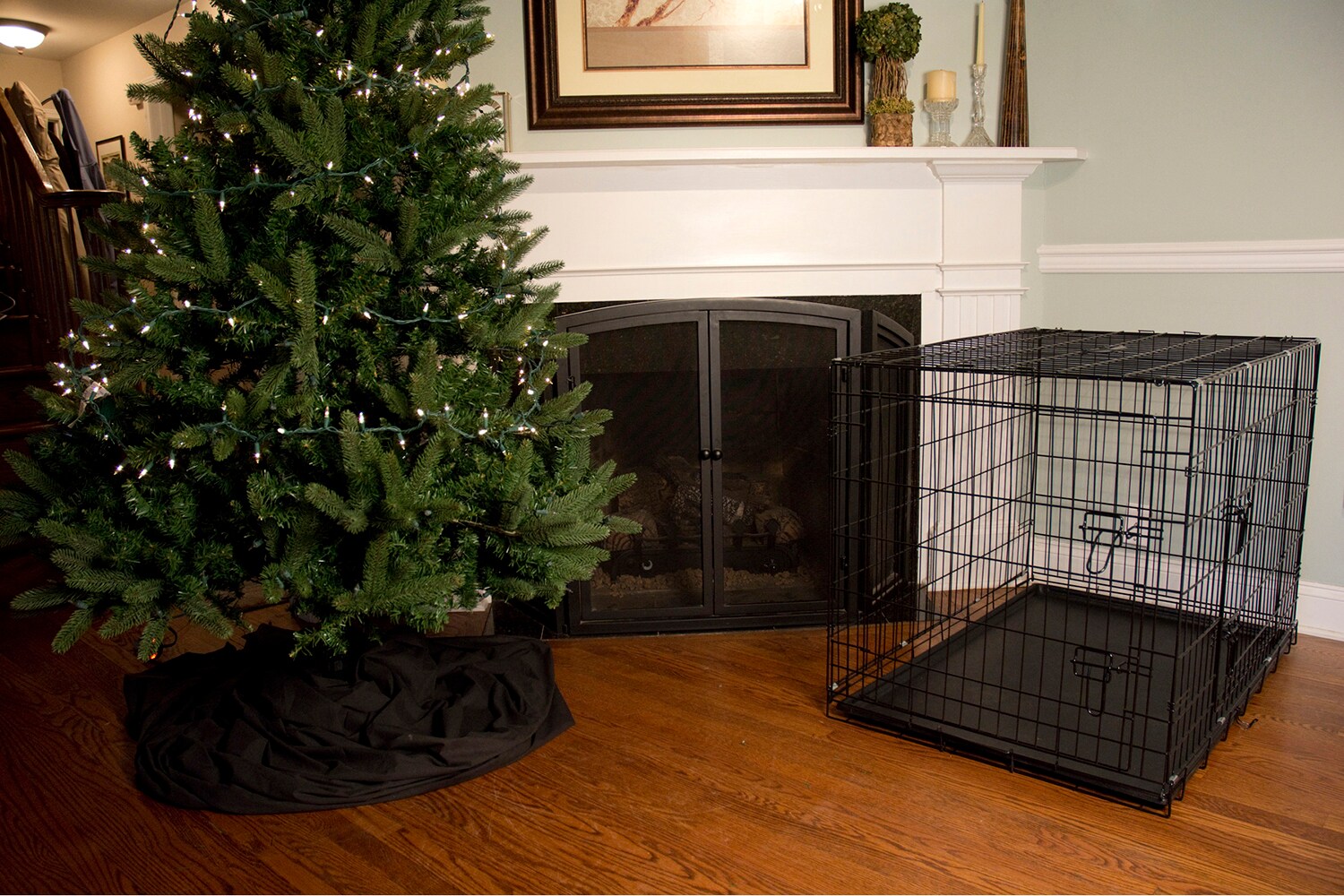 Iconic Pet Wire Dog Crate Medium 3.5-ft L x 2.3-ft W x 2.5-ft H in the ...