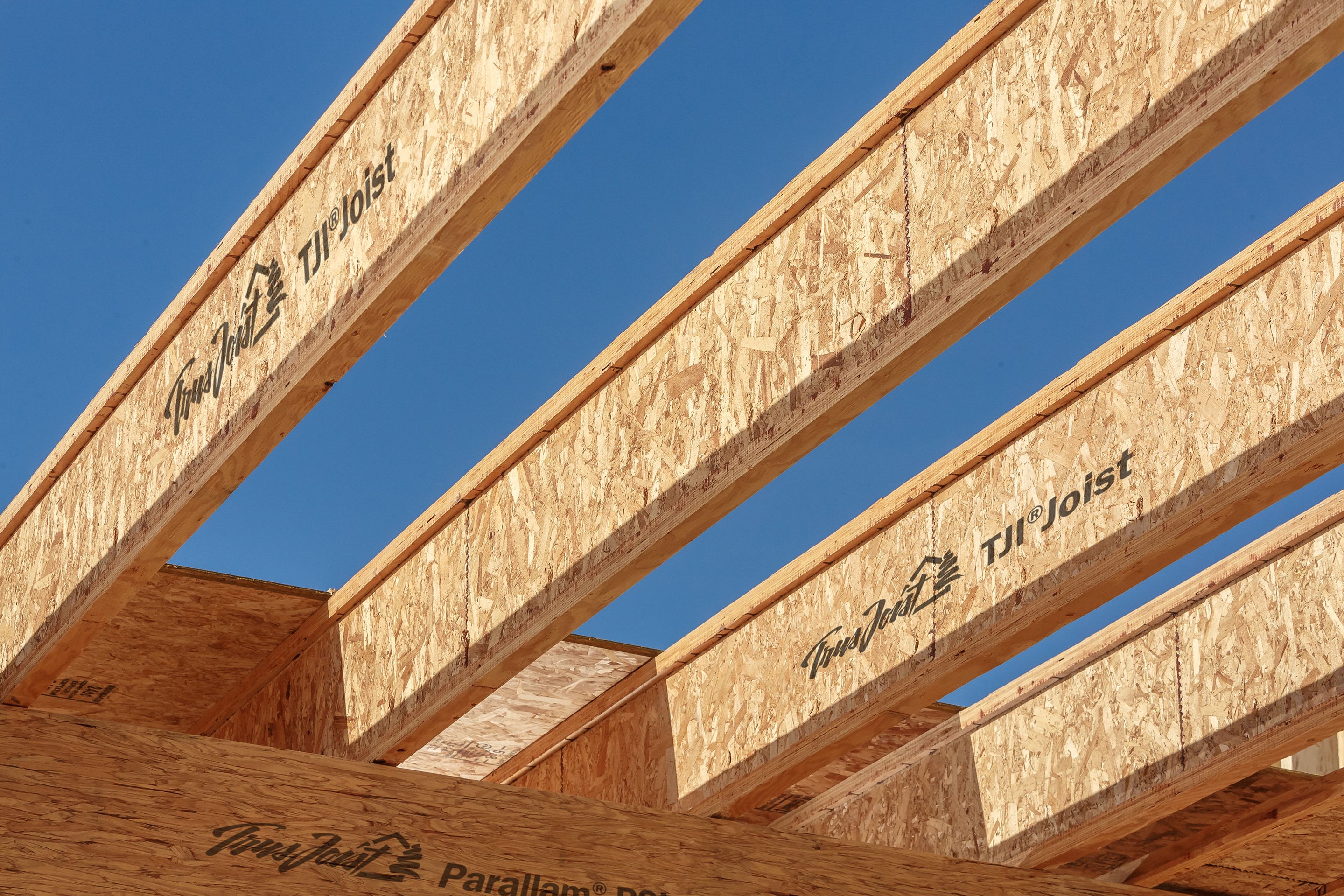  253920 joists - View #4