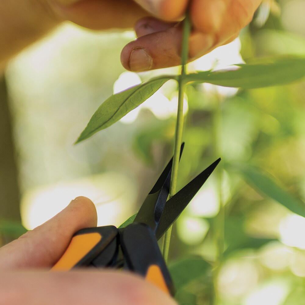 Fiskars Floral Scissors & Snips at