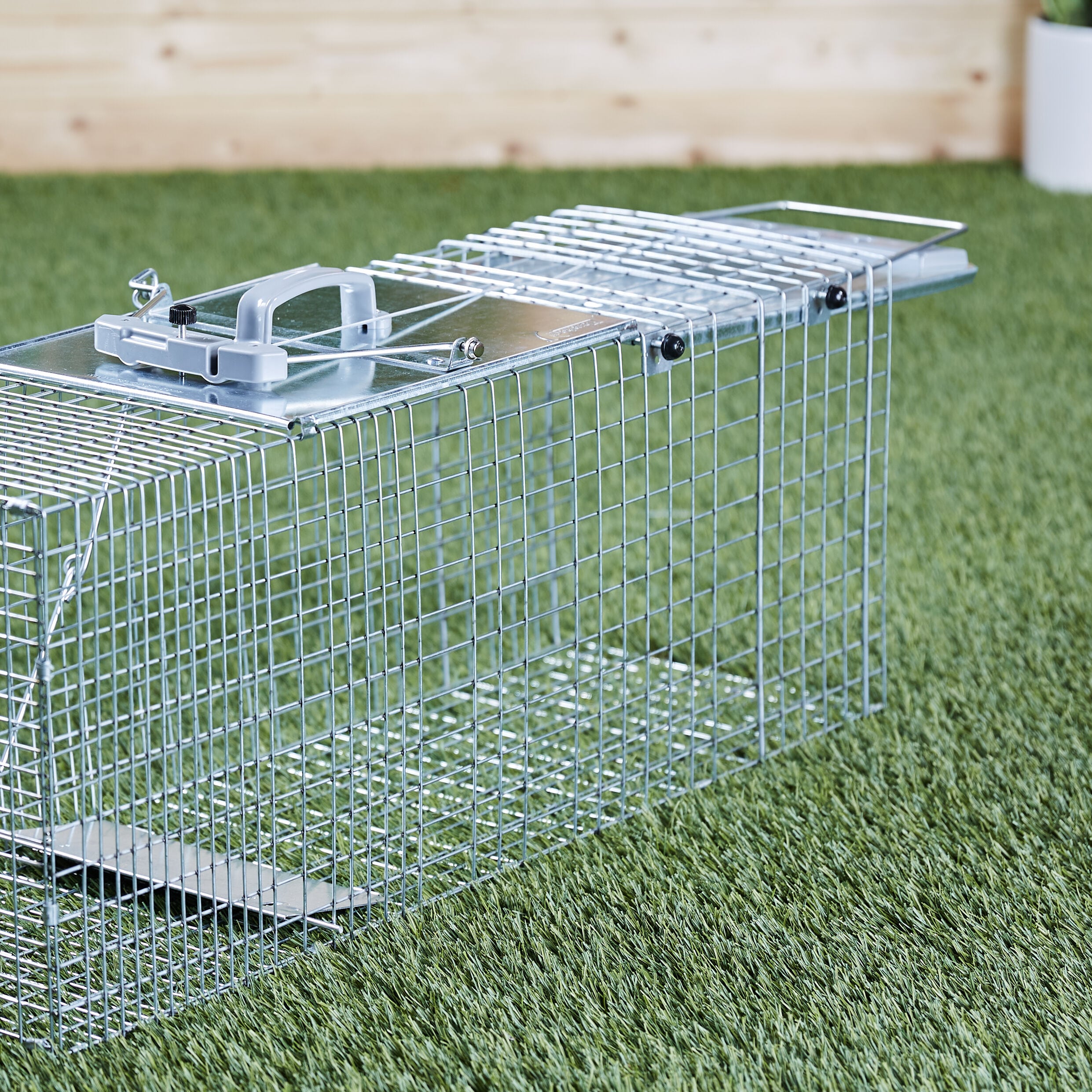 HAVAHART LIVE ANIMAL CAGE TRAP IN BOX - Earl's Auction Company
