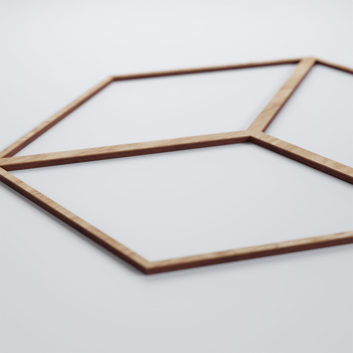 Ekena Millwork WALW16X16X0250PBLRO Wall-Panels - View #5