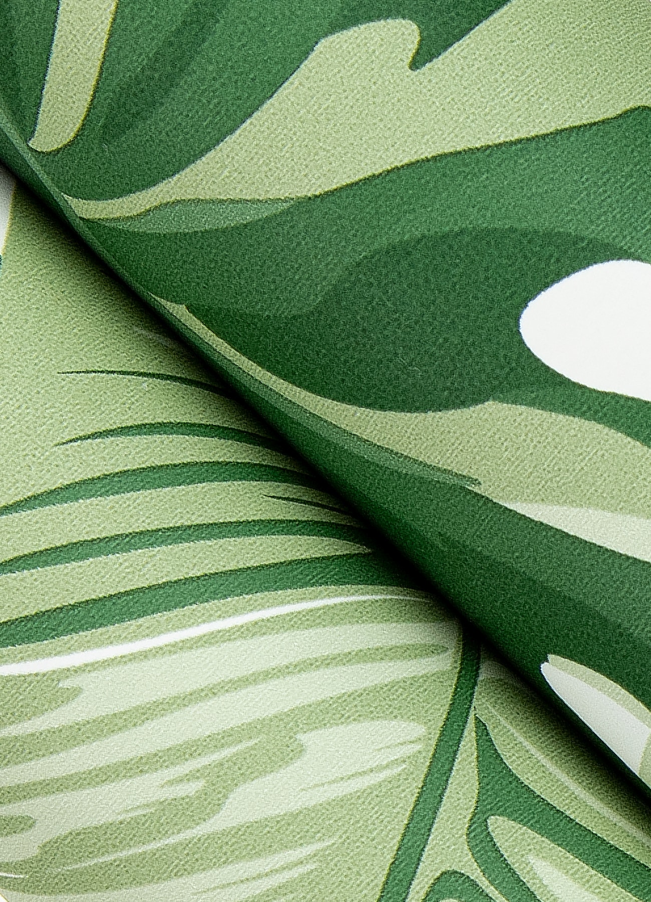 Green and White Vinyl Tropical Palm Leaf Peel & Stick Wallpaper