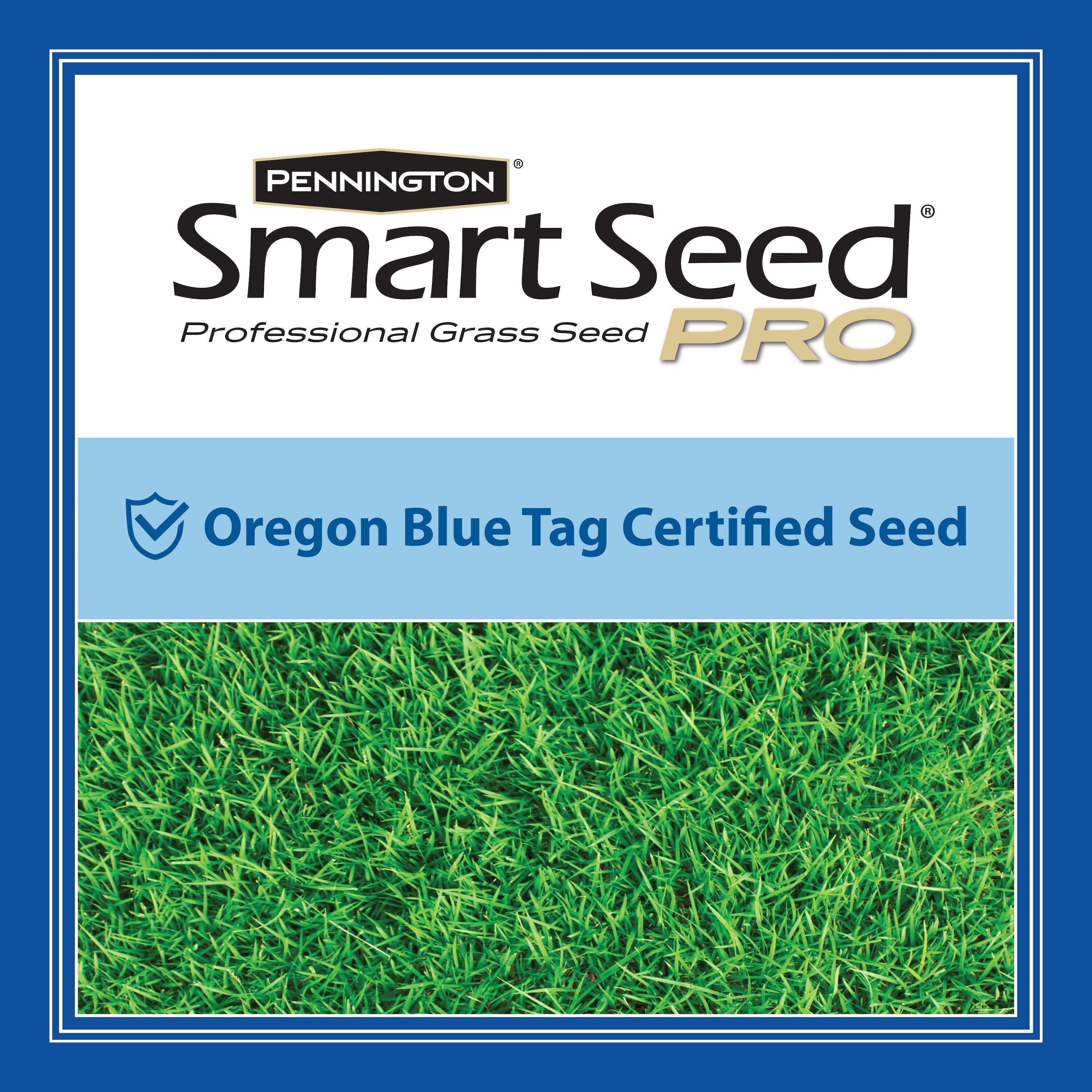 Pennington 100550689 Grass-Seed - View #2