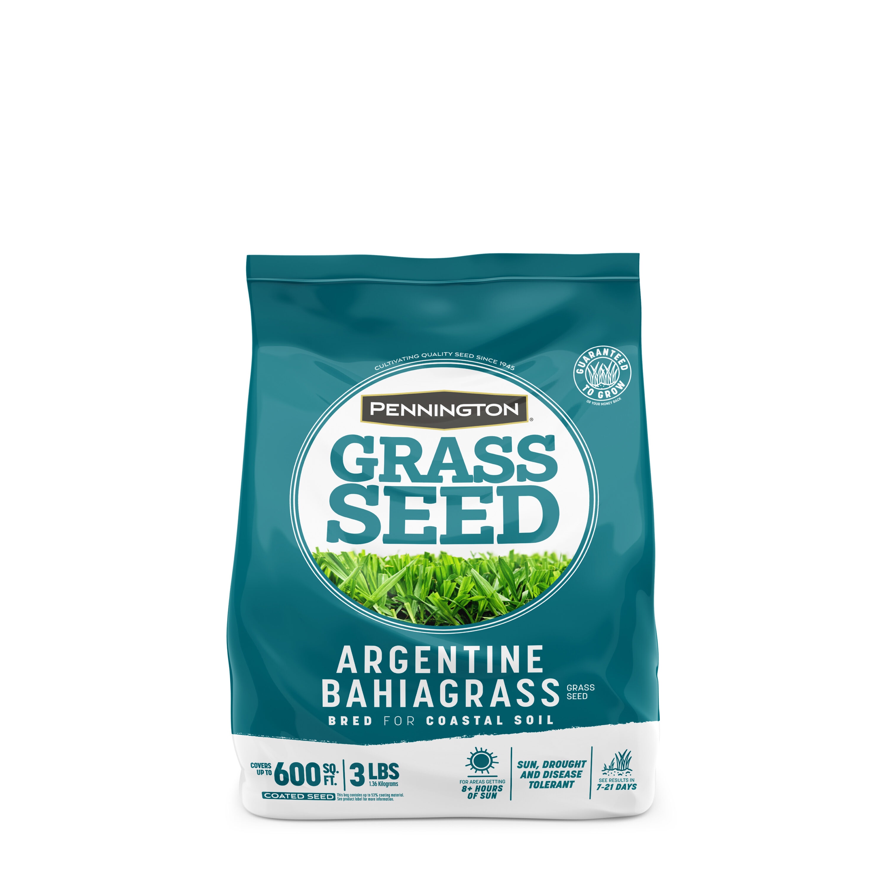 Pennington 2149602256 Argentine Bahiagrass 3-lb Bahia Grass Seed