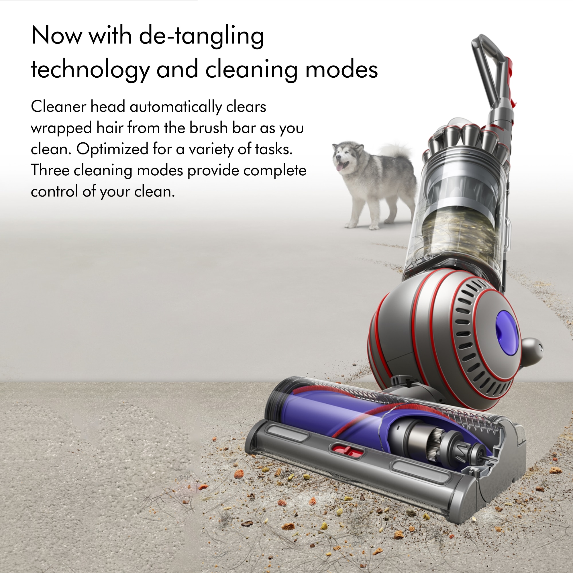 Dyson Corded Bagless Pet Upright Vacuum with HEPA Filter 394515-01 Sansujyuku sansujyuku.com