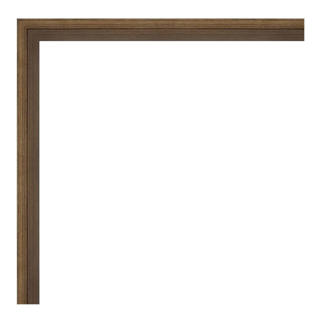 Amanti Art Lucie Light Bronze Frame Collection 29-in x 22-in Framed ...