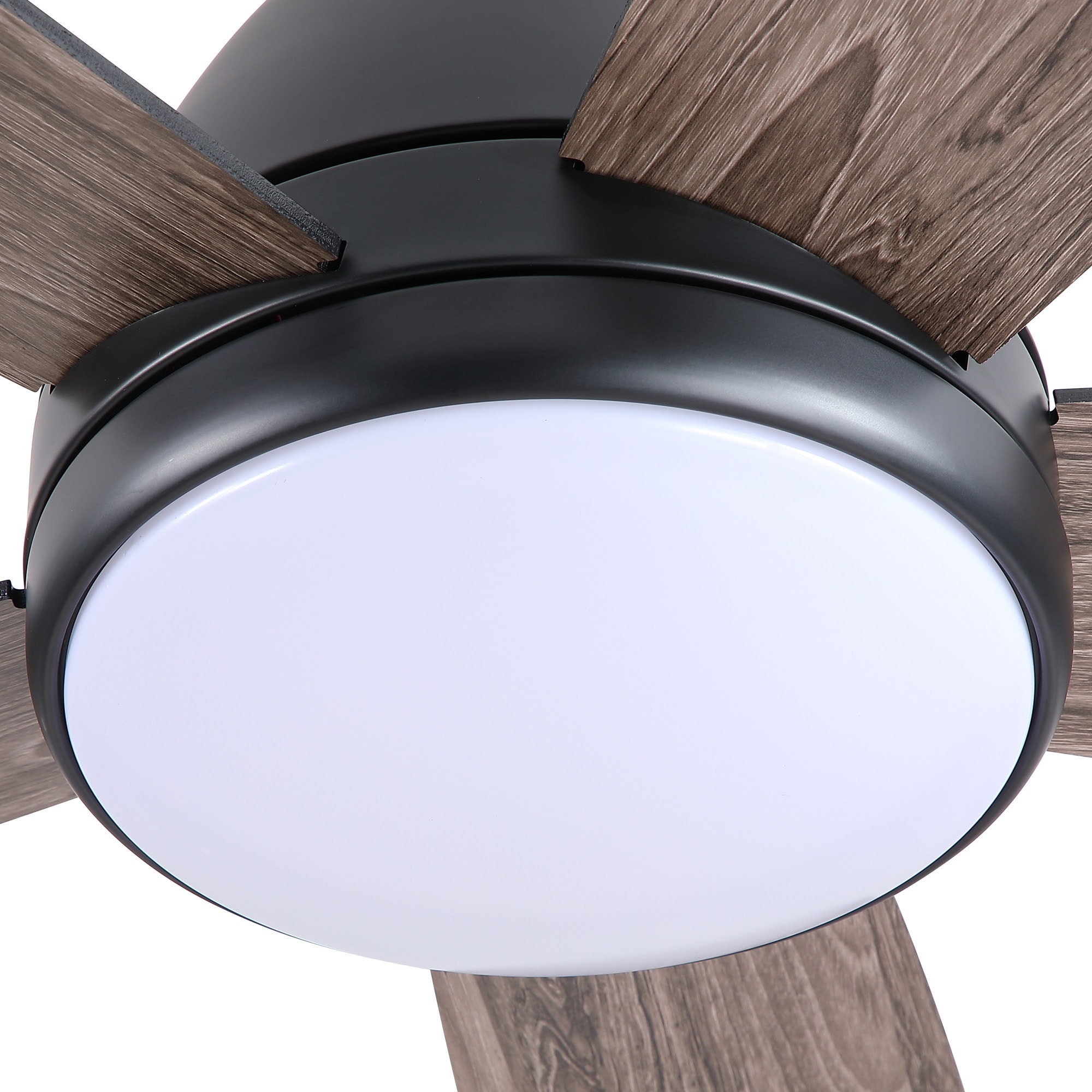 Fun Orange FUN26CF119 Ceiling-Fans - View #4