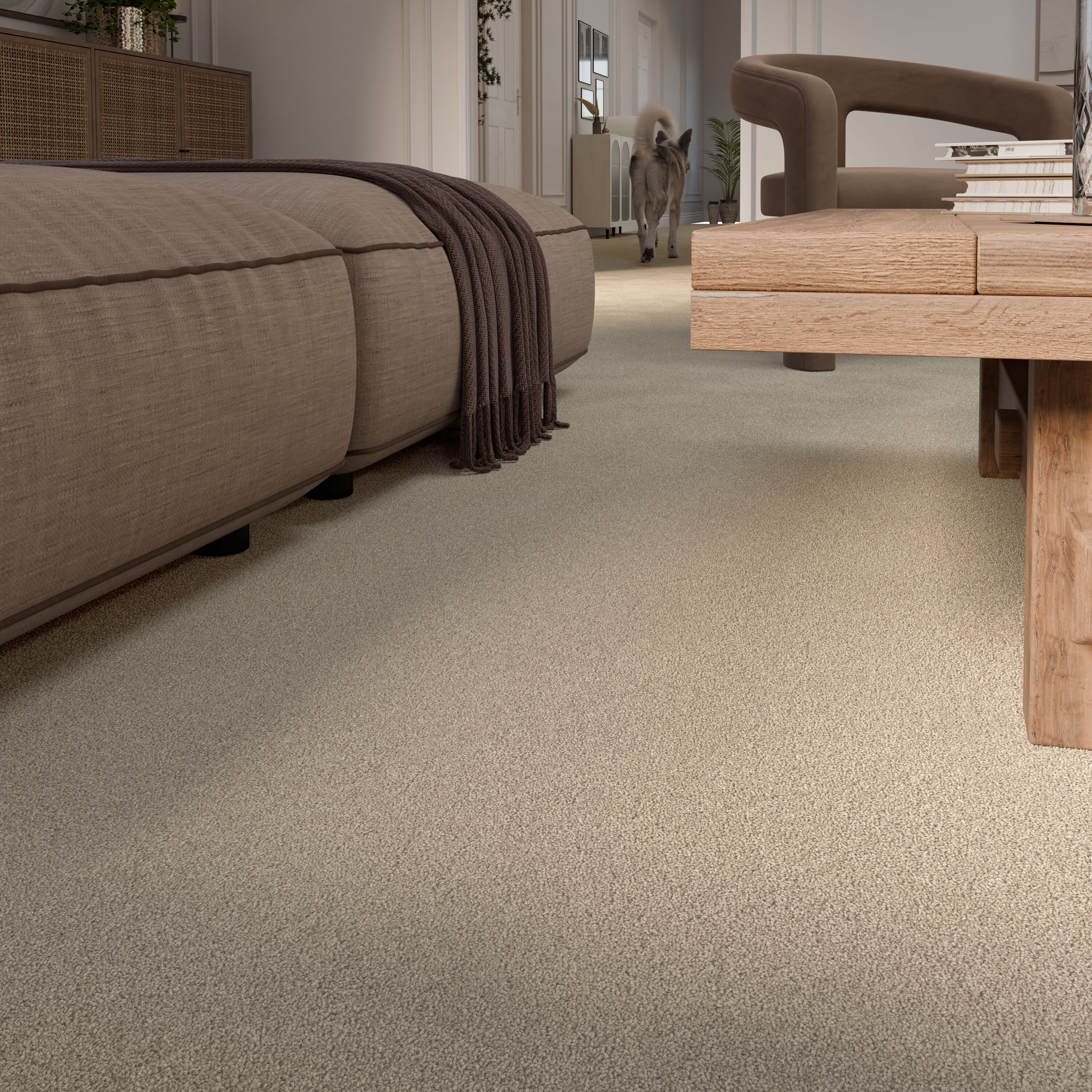 STAINMASTER PetProtect 7L97000104 Carpet-Panel - View #8