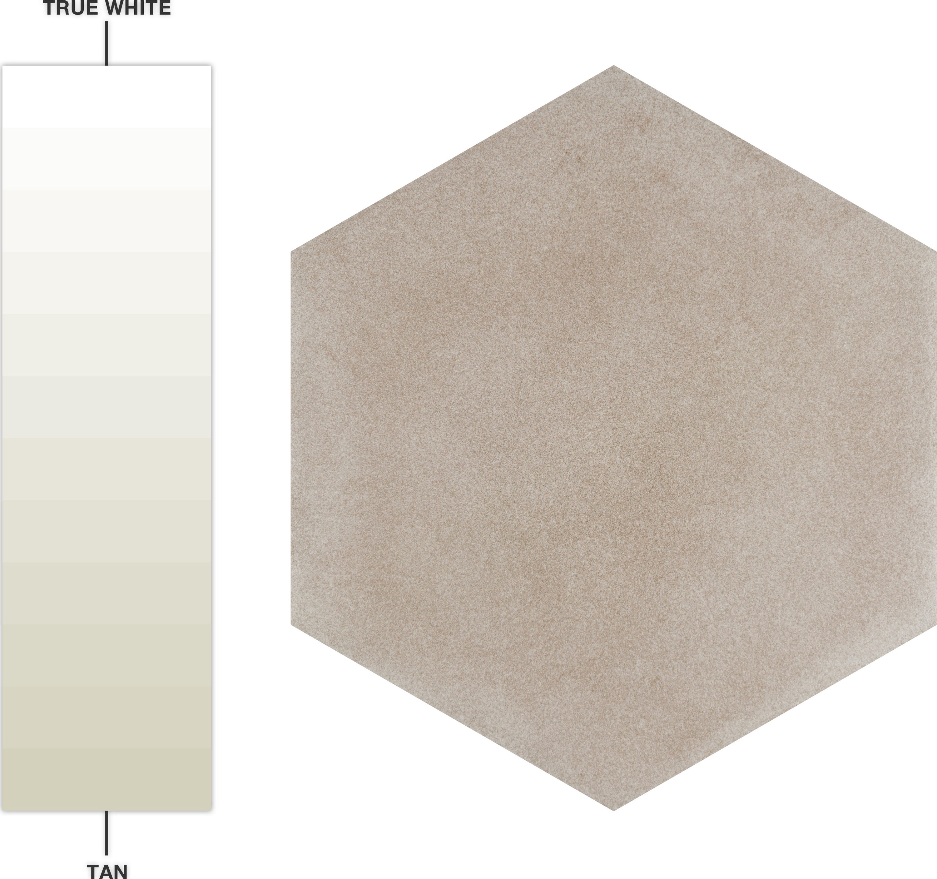 Affinity Tile S1FMAT9TP Tile-Samples - View #8