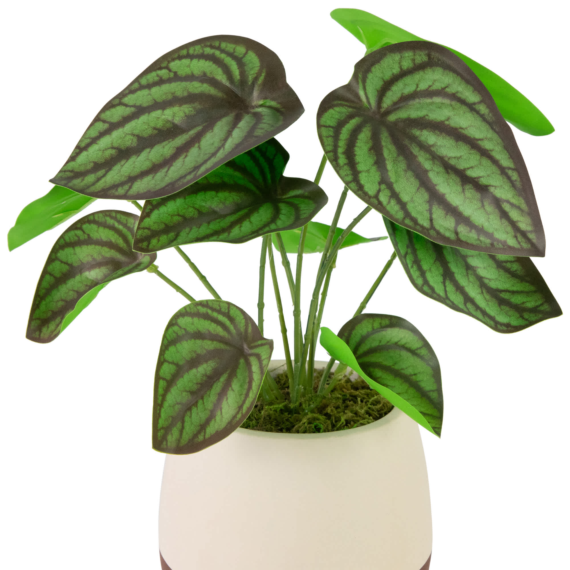 Northlight NORTHLIGHT SM99512 Artificial-Plants-Trees - View #5