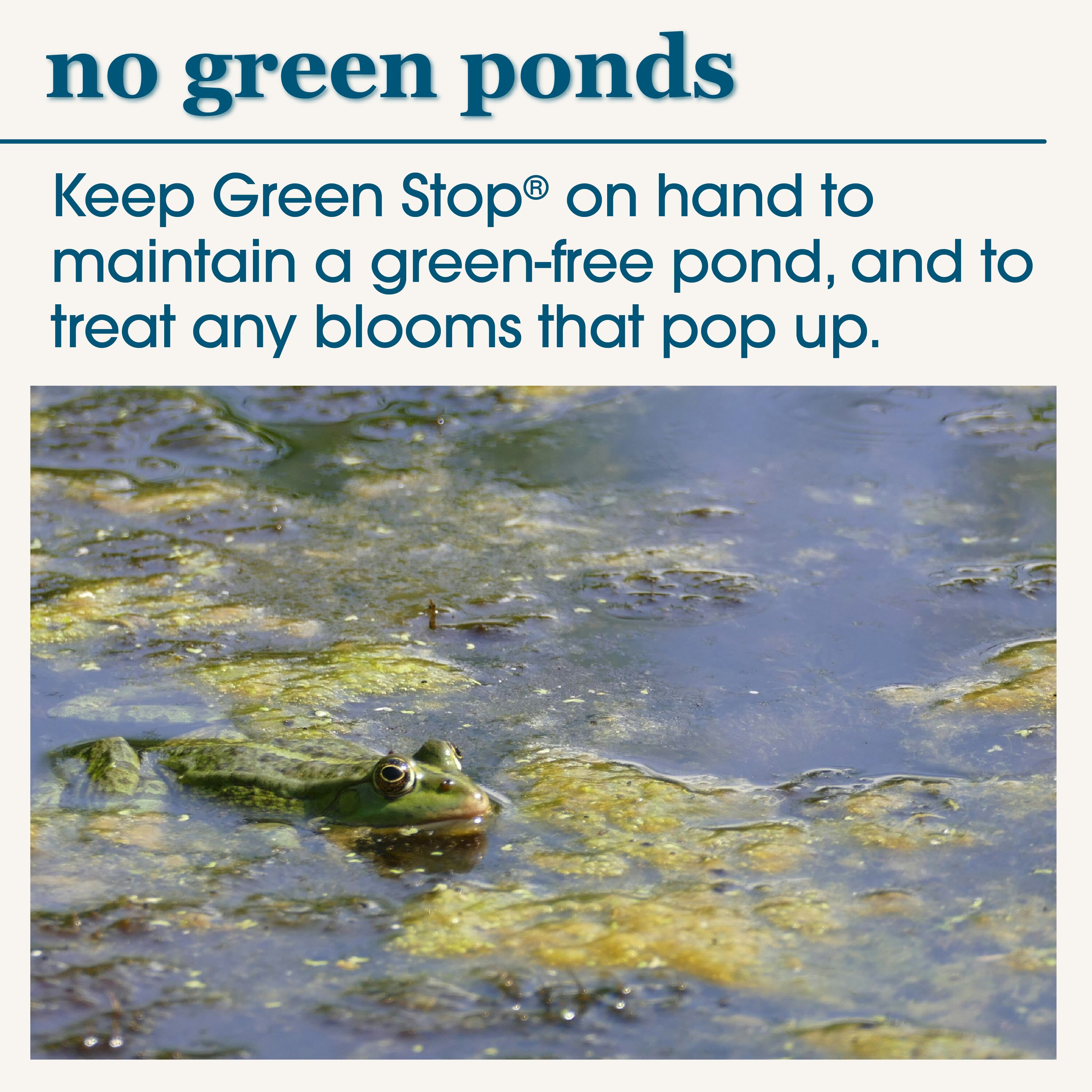 smartpond 54398 Pond-Cleaners - View #6