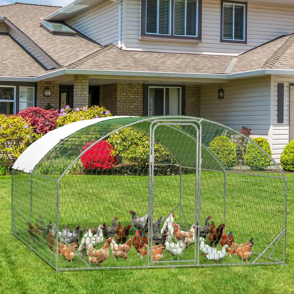Qeetex WLS-PHO-159PP50I Chicken-Coops-Rabbit-Hutches - View #6