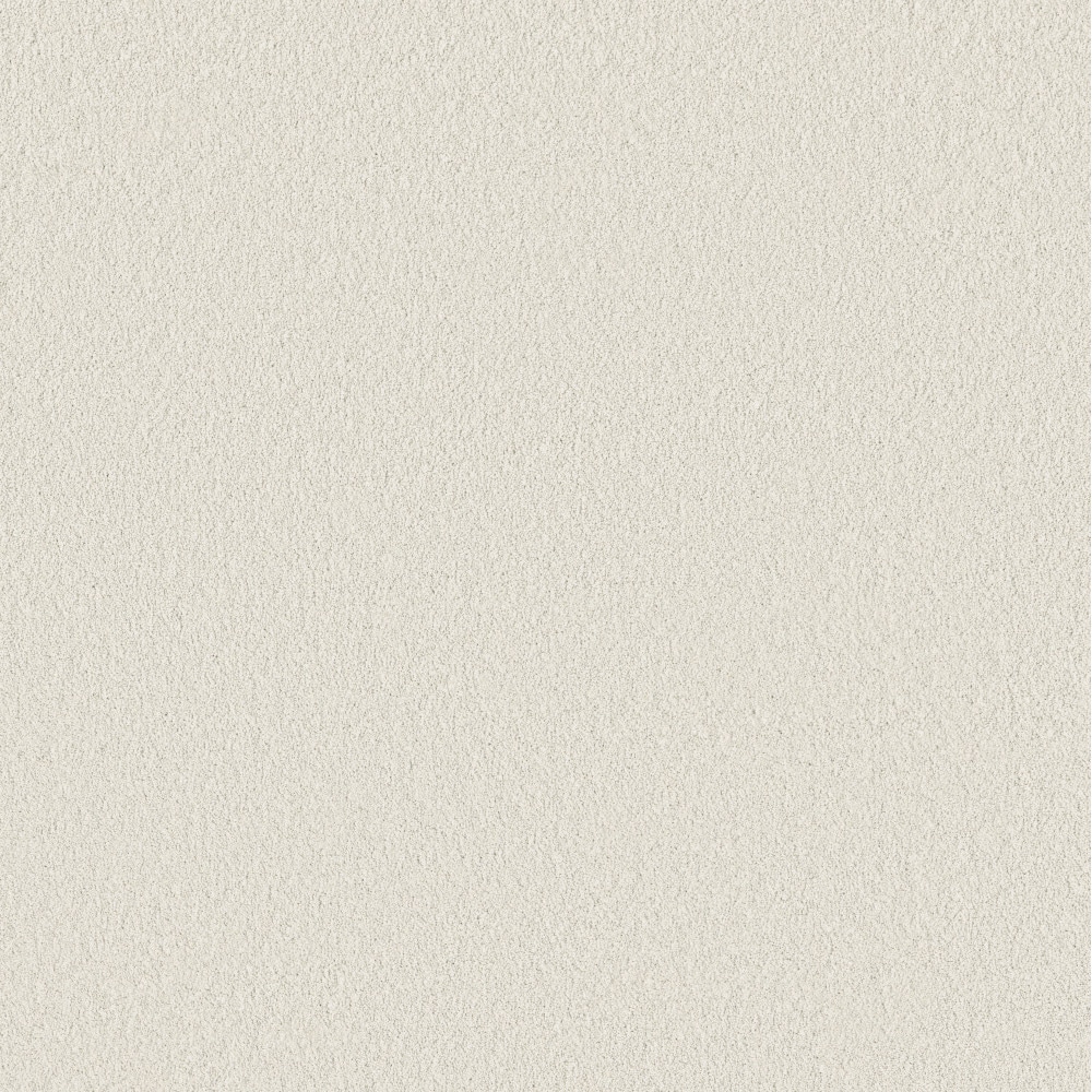 STAINMASTER PetProtect 7L971-150-SAMP (Sample) 8-in x 8-in with LeakDefense Happy Howling II Snowfall Brown 68-oz sq yard High-performance polyester Textured Indoor Carpet