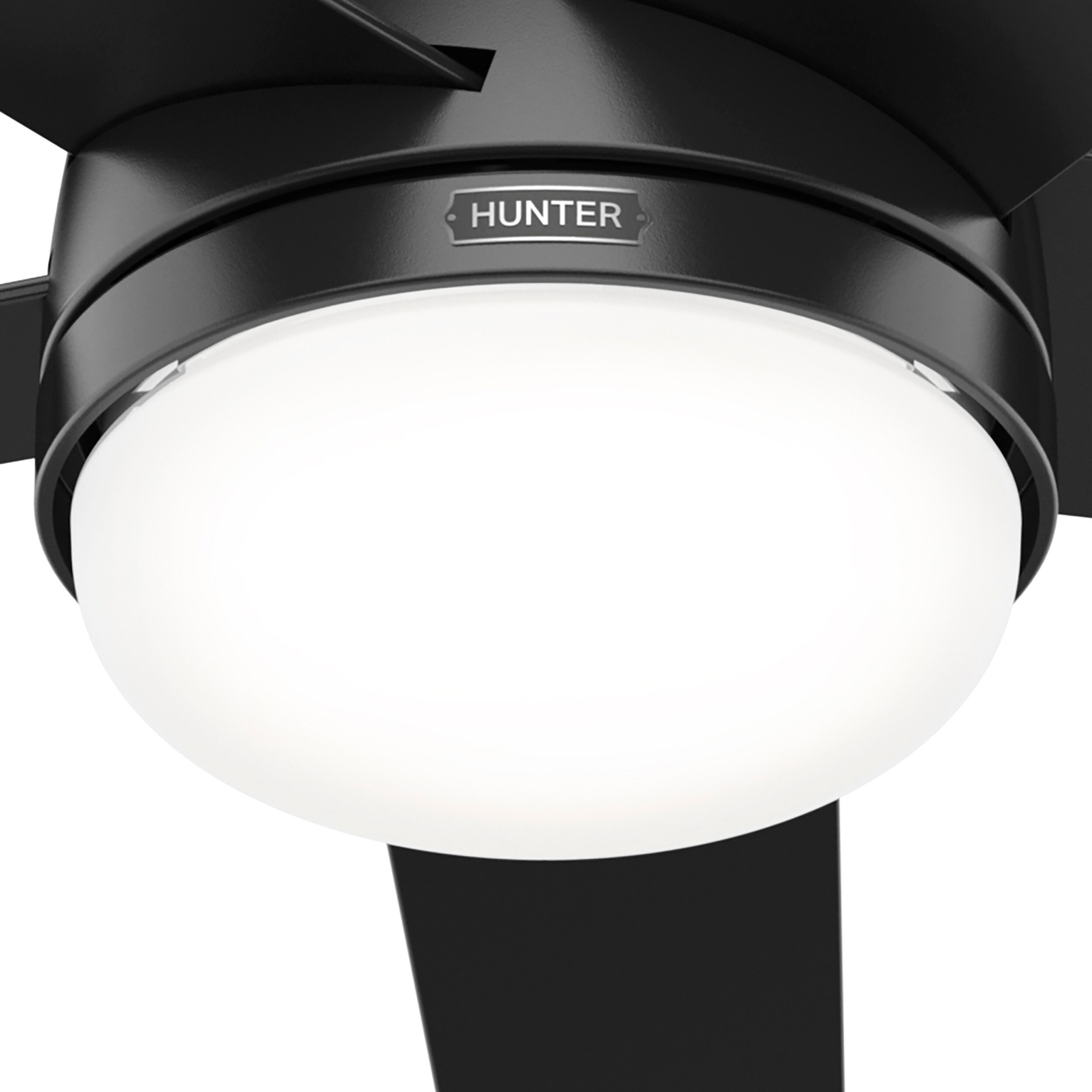 Hunter 51932 Ceiling-Fans - View #15