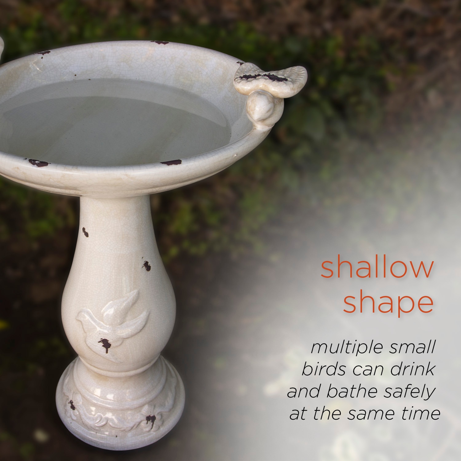 Alpine Corporation TLR102LBR birdbaths - View #4