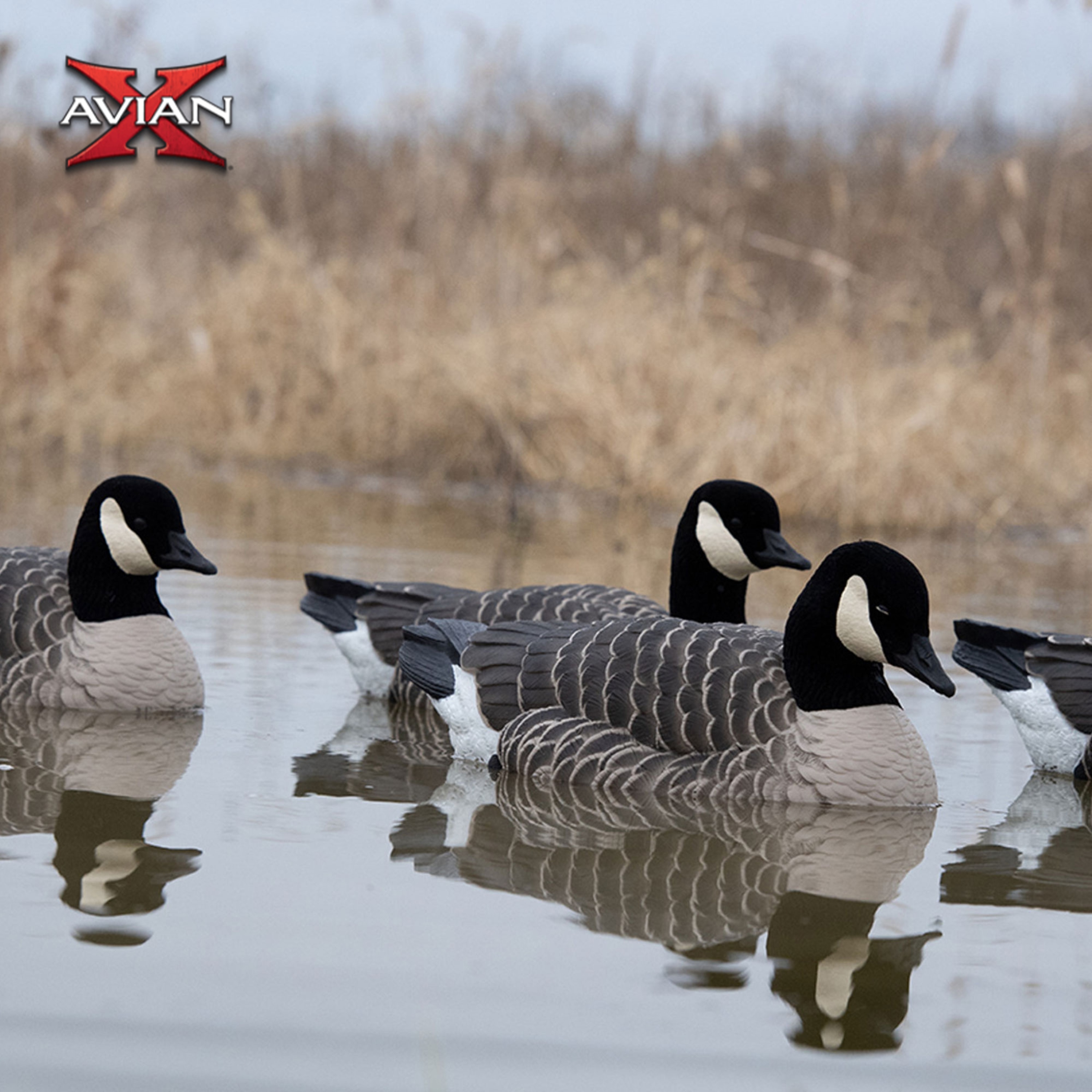  Avian X 399284 Hunting-Equipment - View #6