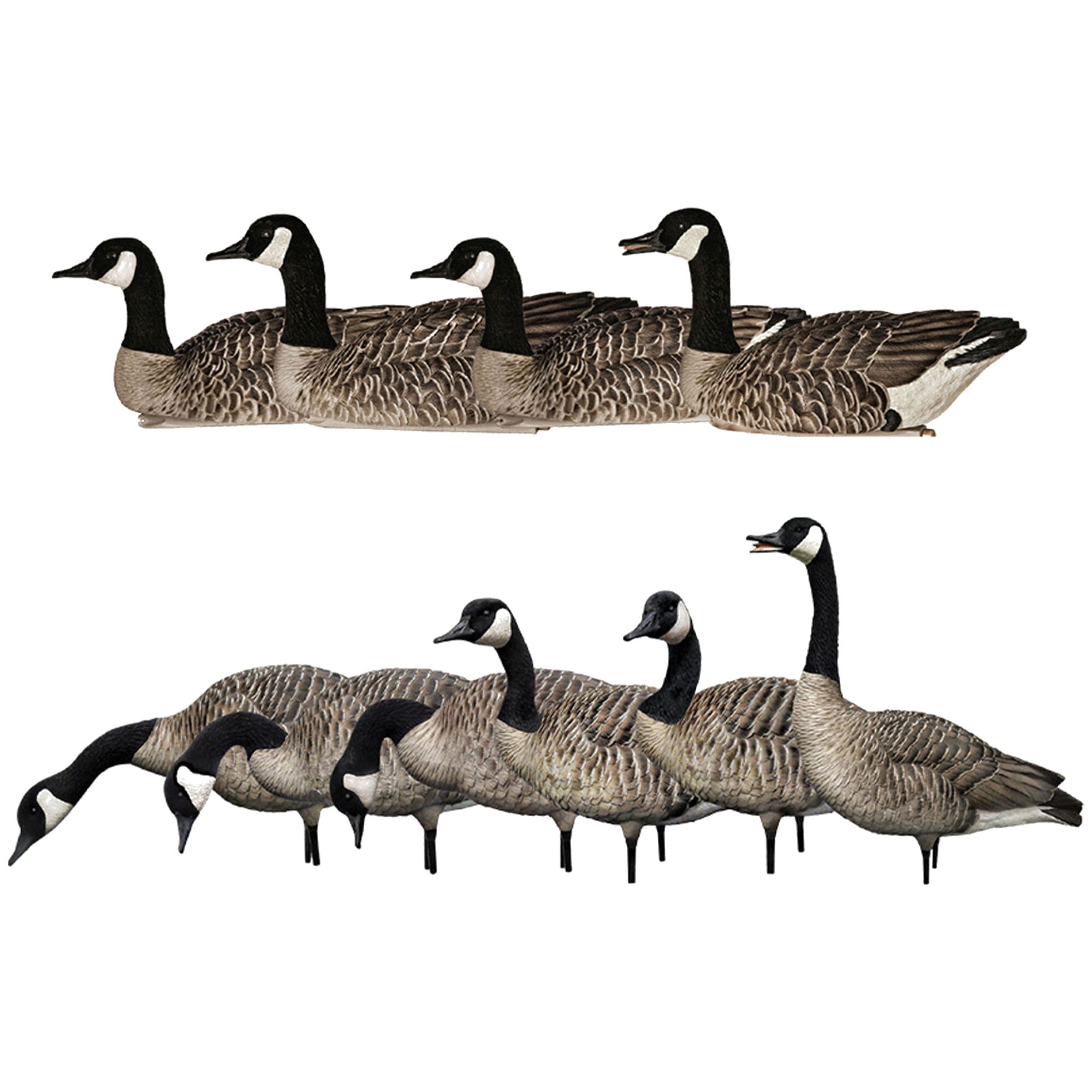  Avian X 408596 23.30 x 23 x 14.50 Inche(s) Decoy 10 -Pack