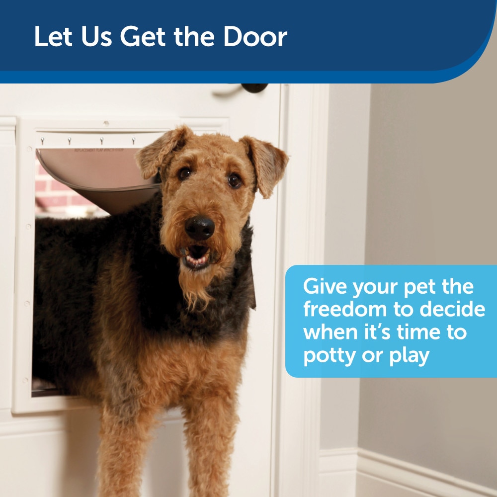 Electronic dog hot sale door lowes