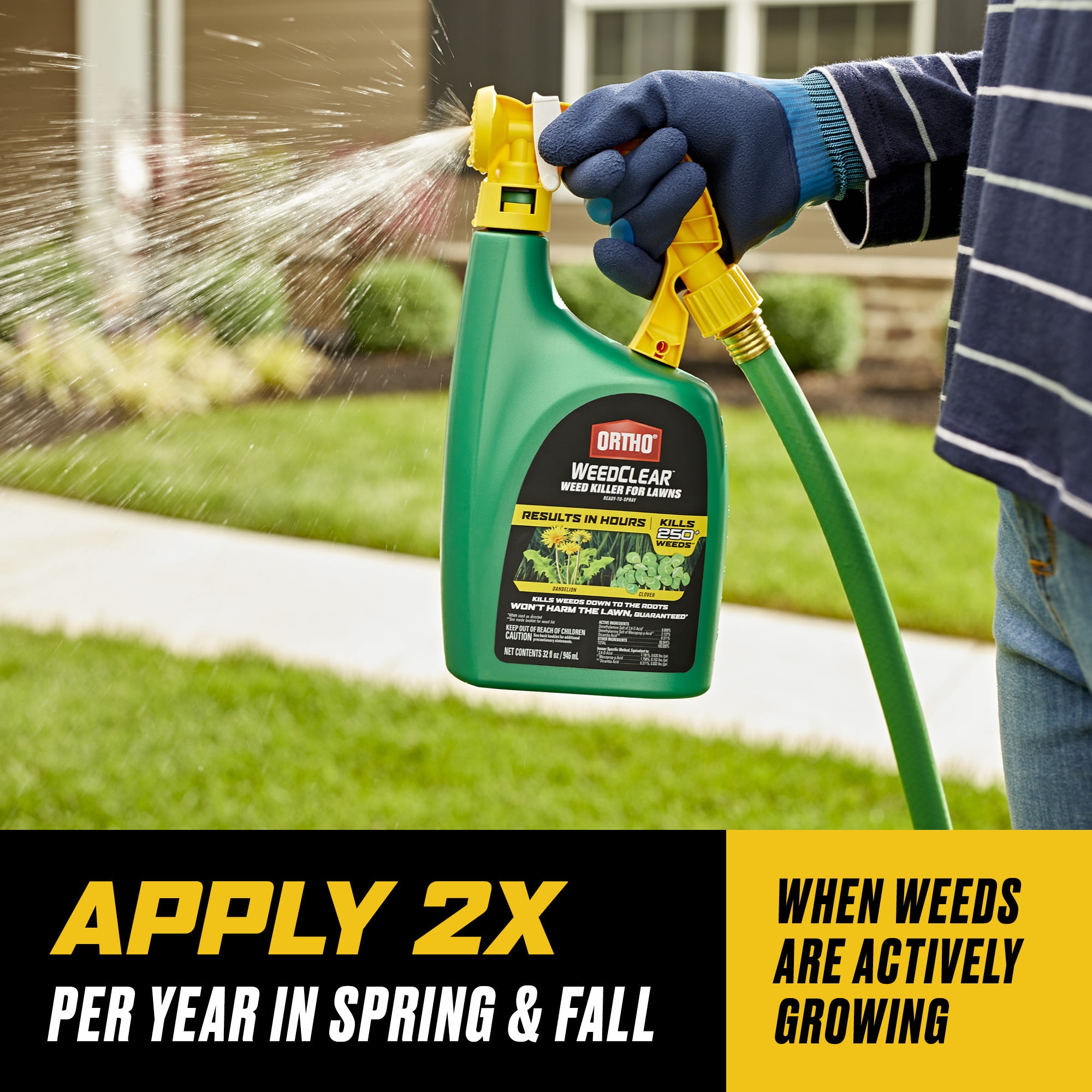 ORTHO 0204901 Weed-Killers - View #6
