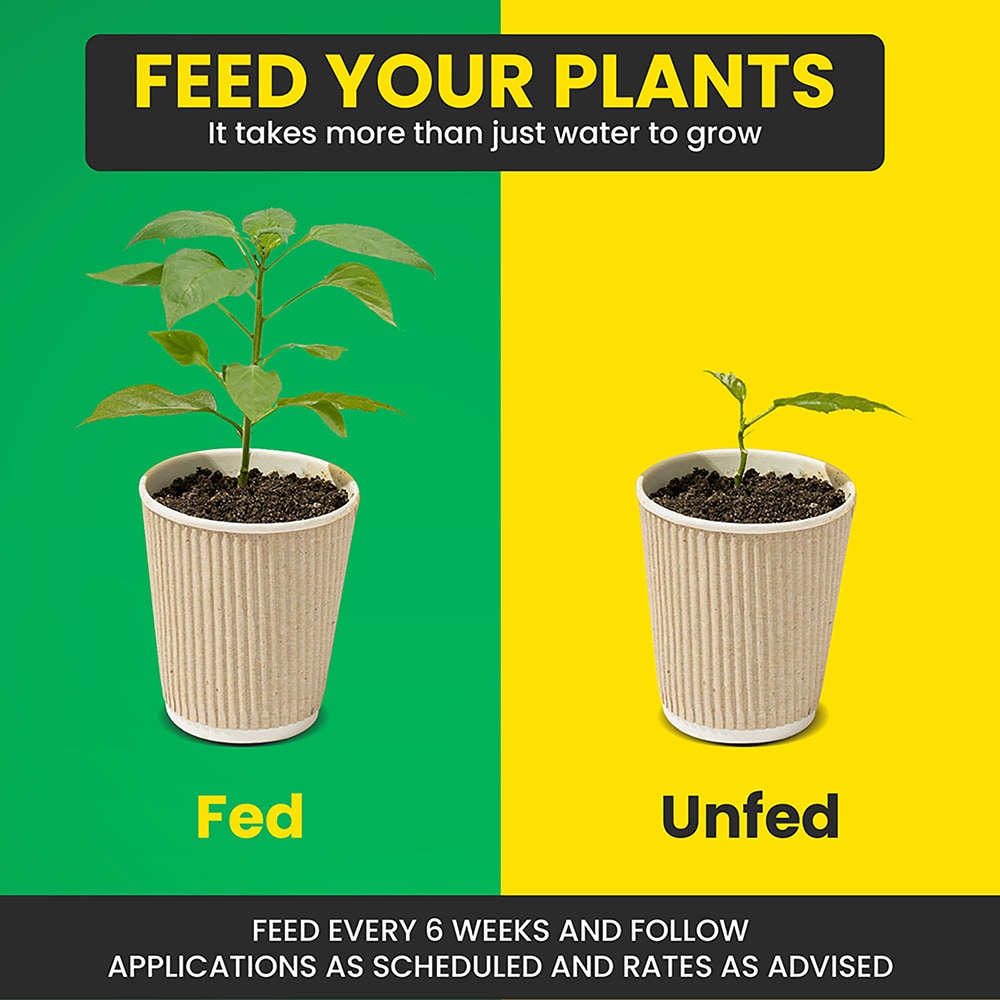 1ST CHOICE FERTILIZER 1STC25 Plant-Food - View #10
