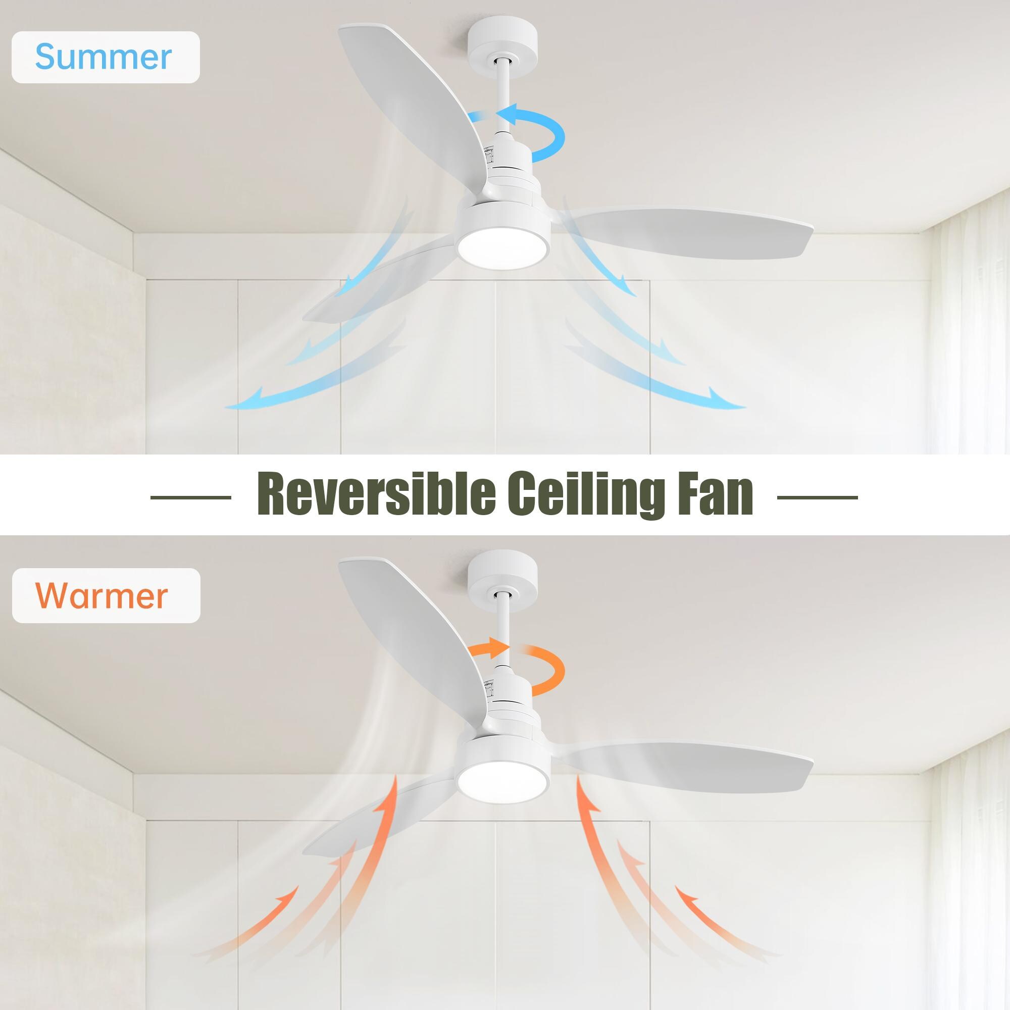 Bayfeve BF-368814-MP Ceiling-Fans - View #6
