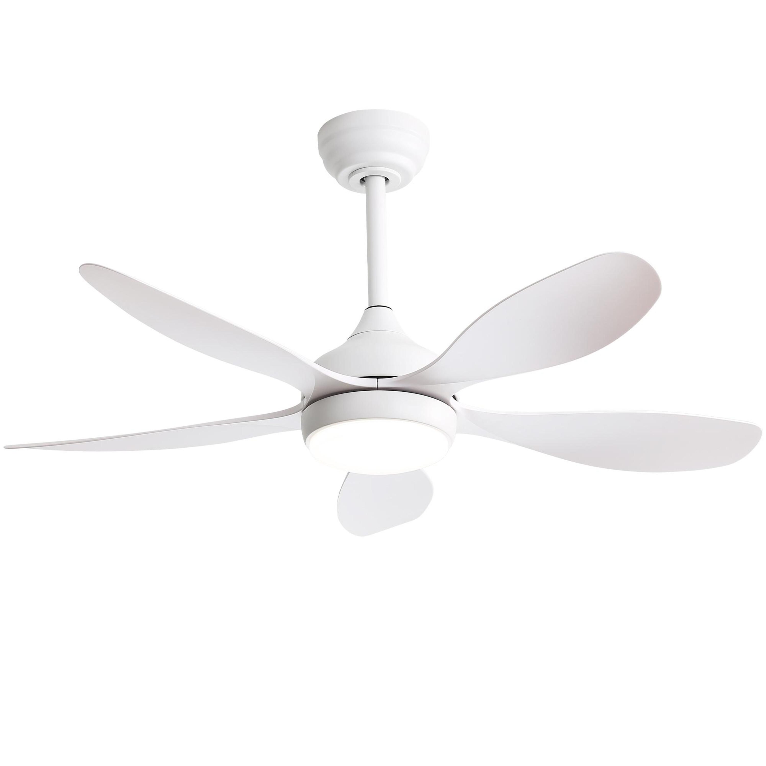 Bayfeve BF-230463-MP Ceiling-Fans - View #7