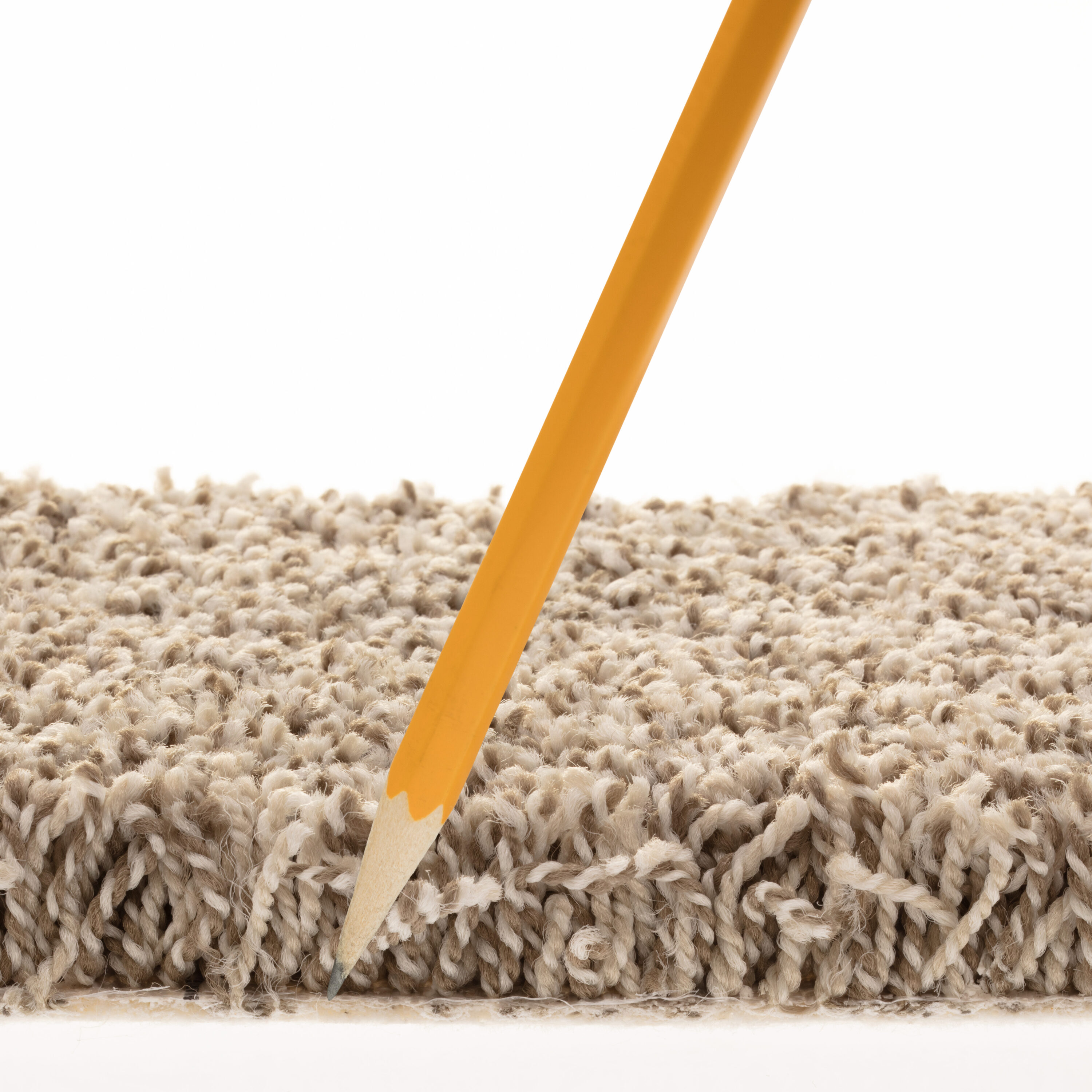 STAINMASTER PetProtect 7L86000534 Carpet-Panel - View #7