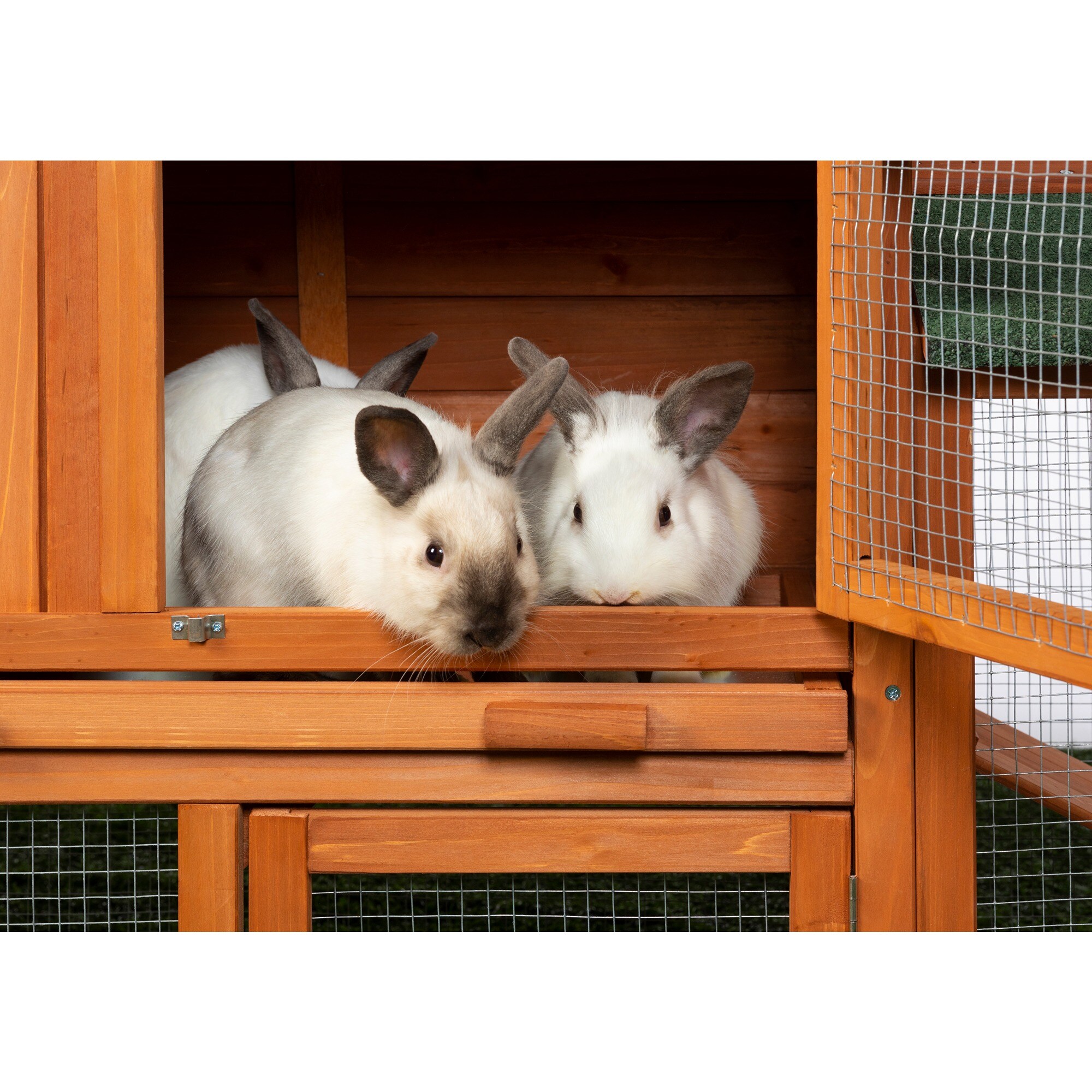 Prevue 4600 Chicken-Coops-Rabbit-Hutches - View #11