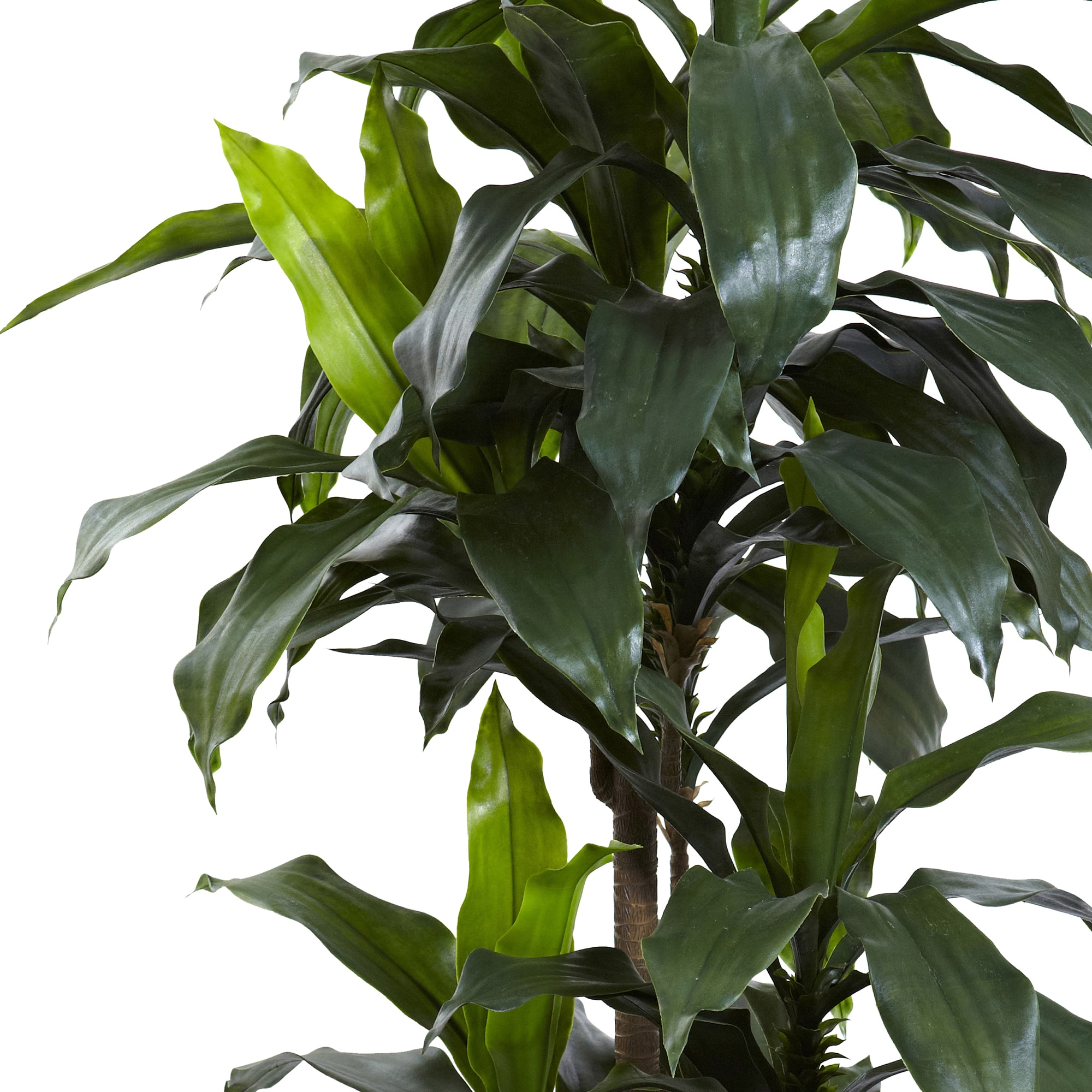 5-Foot Green Plastic Dracaena Plant with Lights
