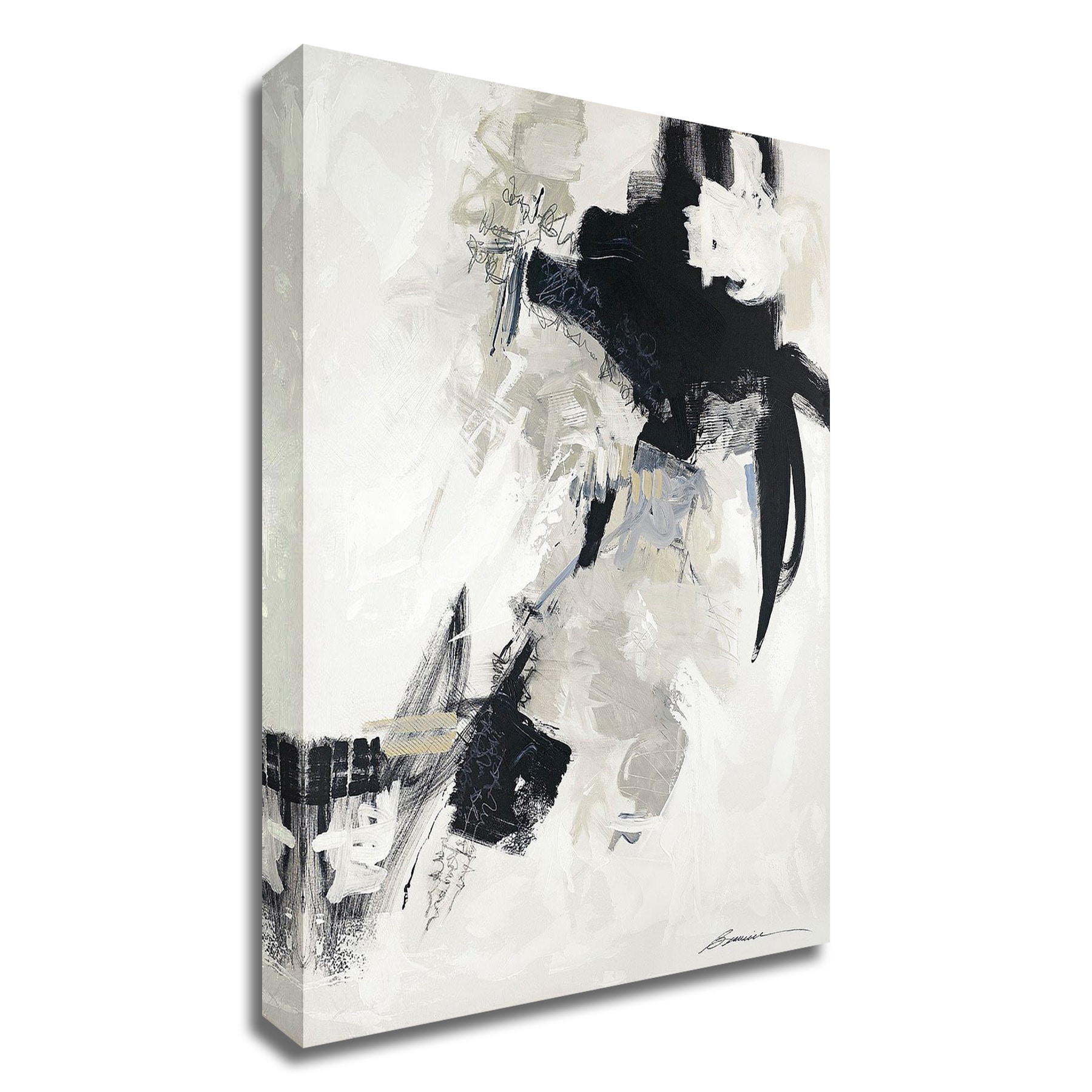 Tangletown Fine Art 8W907DC-2430 Puffs and Gusts Beau Wild 30-in H x 24-in W Abstract Print on Canvas