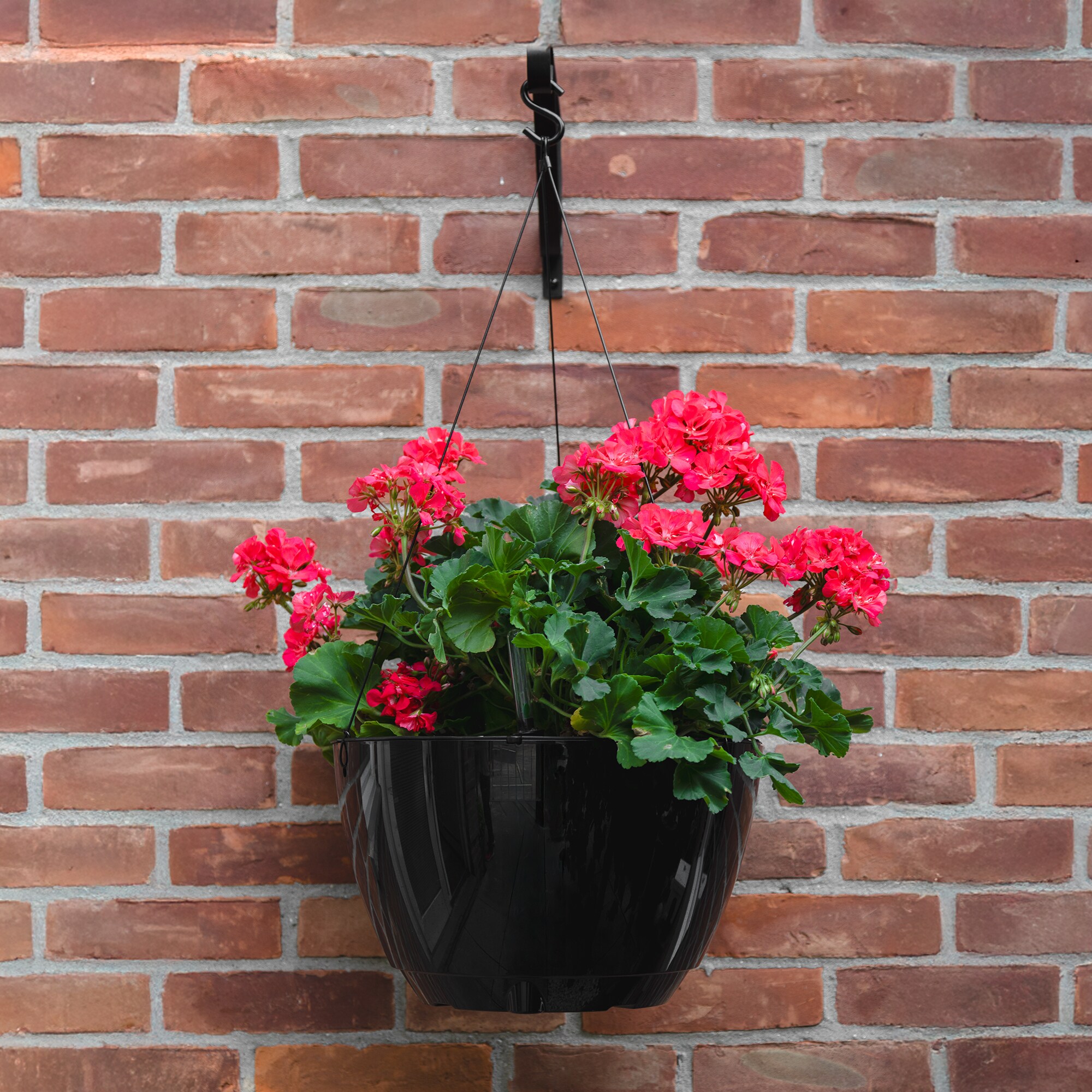 Mayne 3885-B Planter-Window-Box - View #3