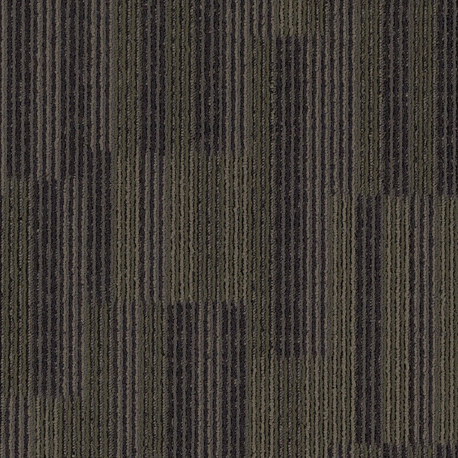 Mohawk Home & Office Common Area Charcoal Textured Carpet Sample (Interior) Mohawk Home & Office Common Area Charcoal Textured Carpet Sample (Interior)