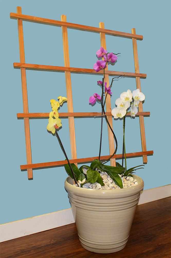 Garden Architecture 8622153 Garden-Trellis - View #3