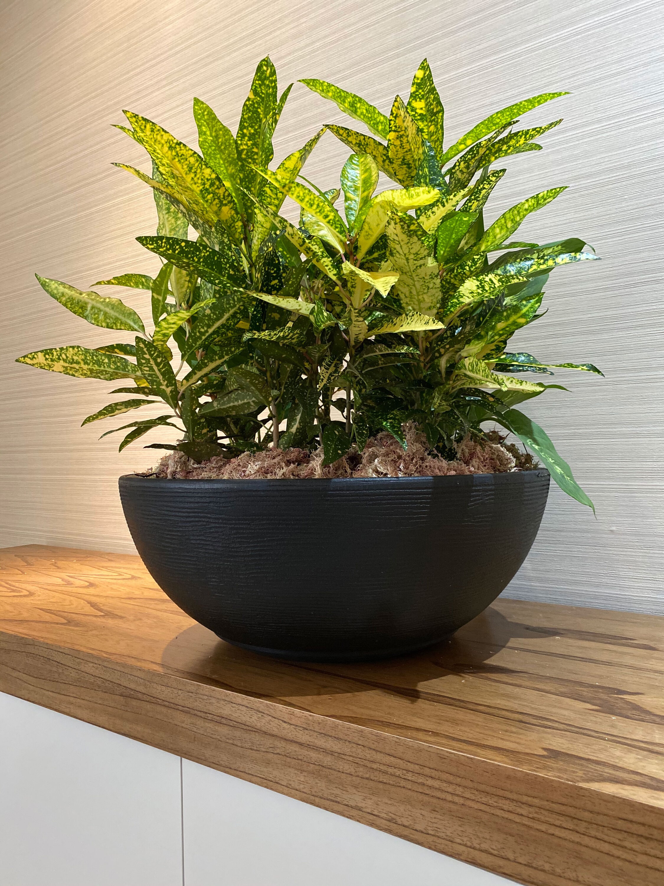 FLORIDIS 10160275 Planter-Window-Box - View #4