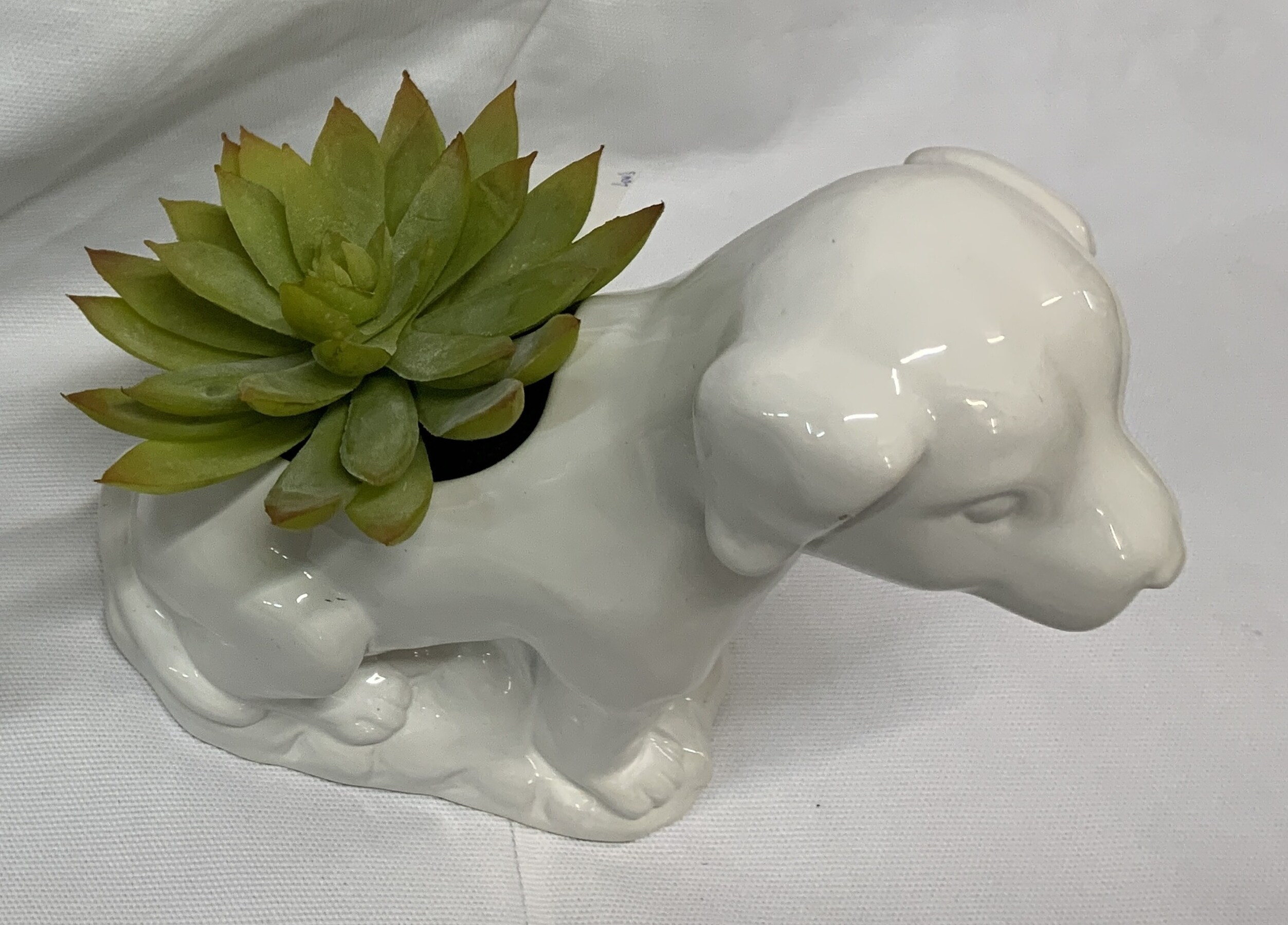 allen + roth 21LOW211 Artificial-Plants-Trees - View #6